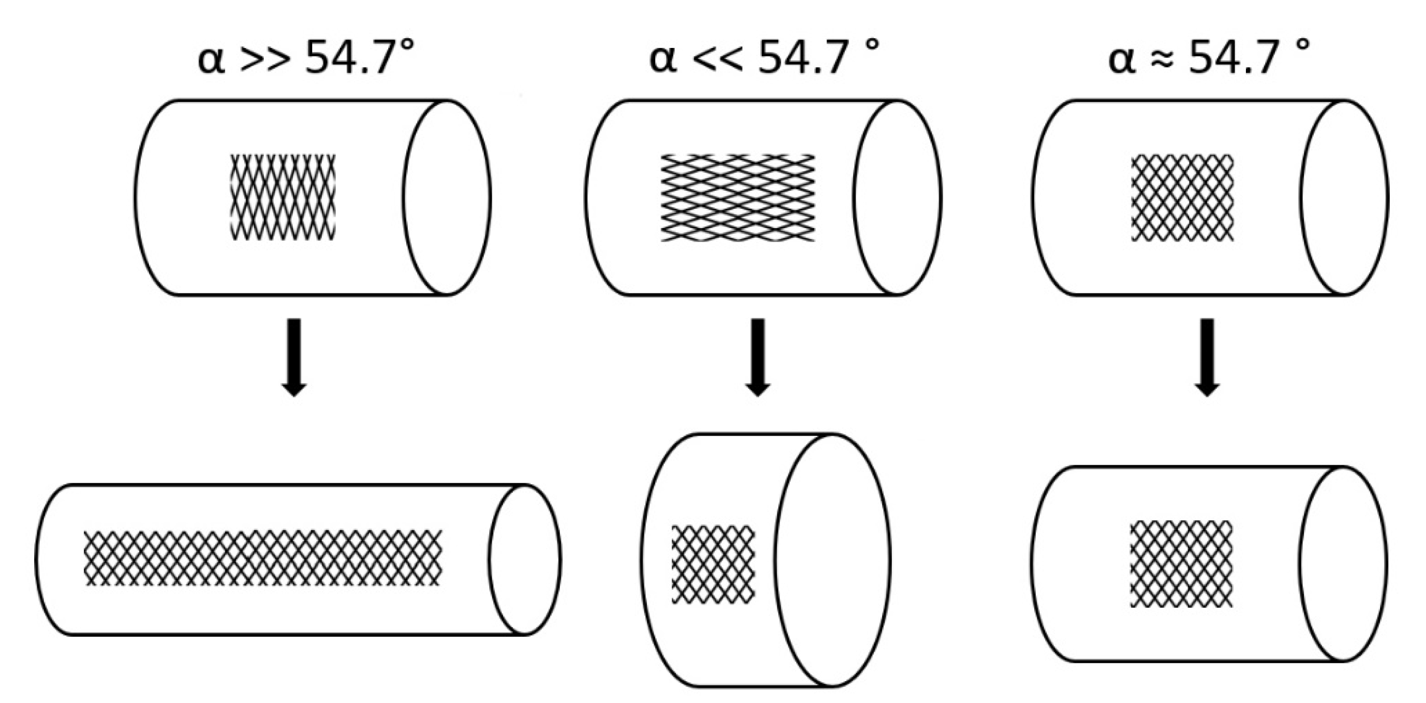Biomimetics 06 00033 g006 Biomimetics 06 00033 g006