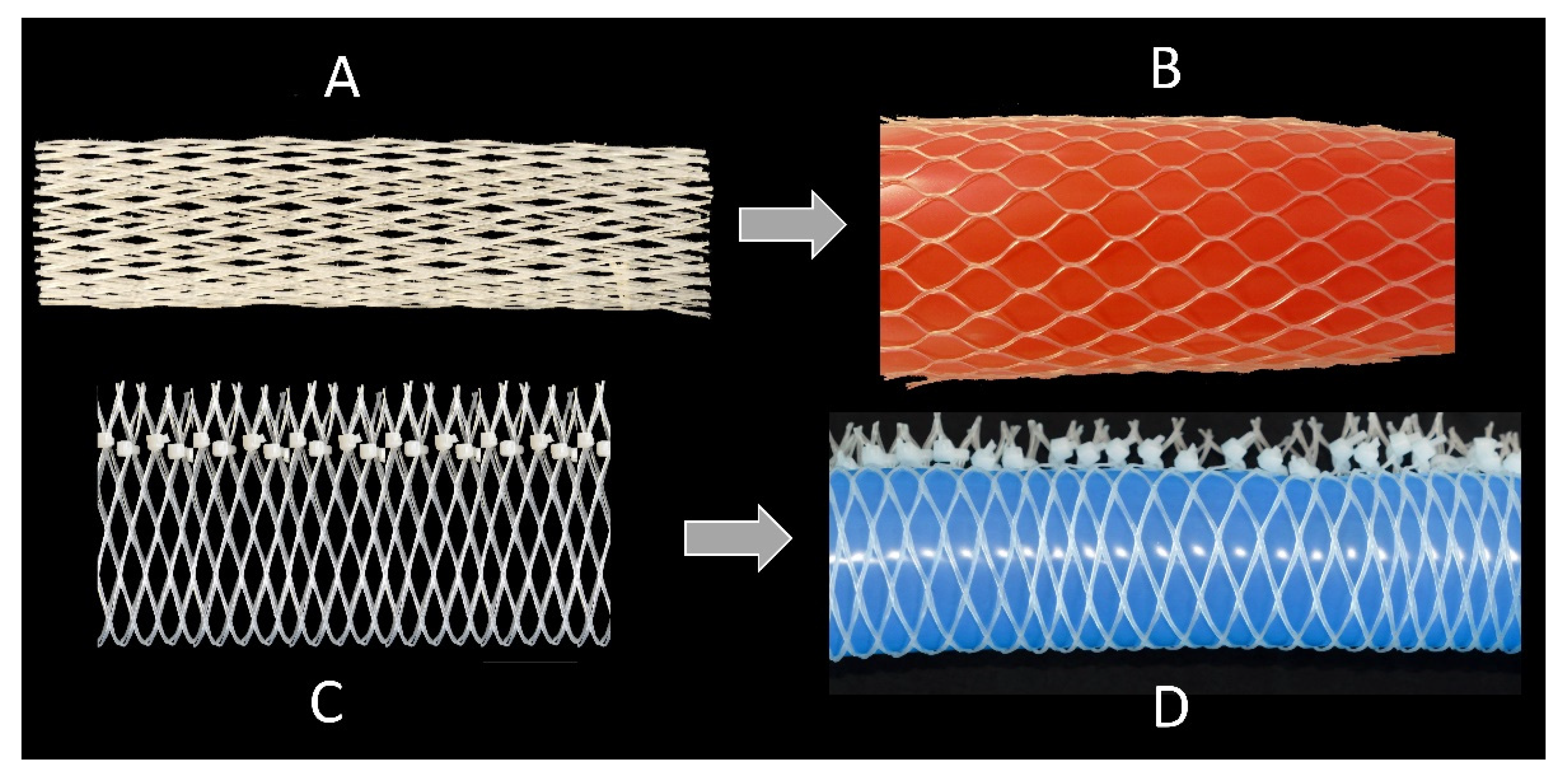 Biomimetics 06 00033 g008 Biomimetics 06 00033 g008