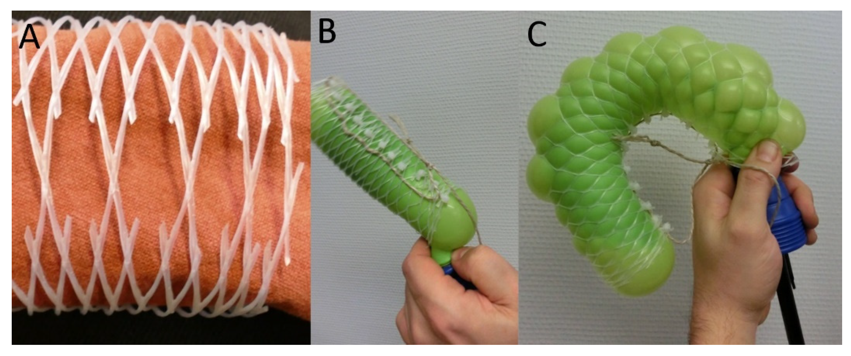 Biomimetics 06 00033 g009 Biomimetics 06 00033 g009