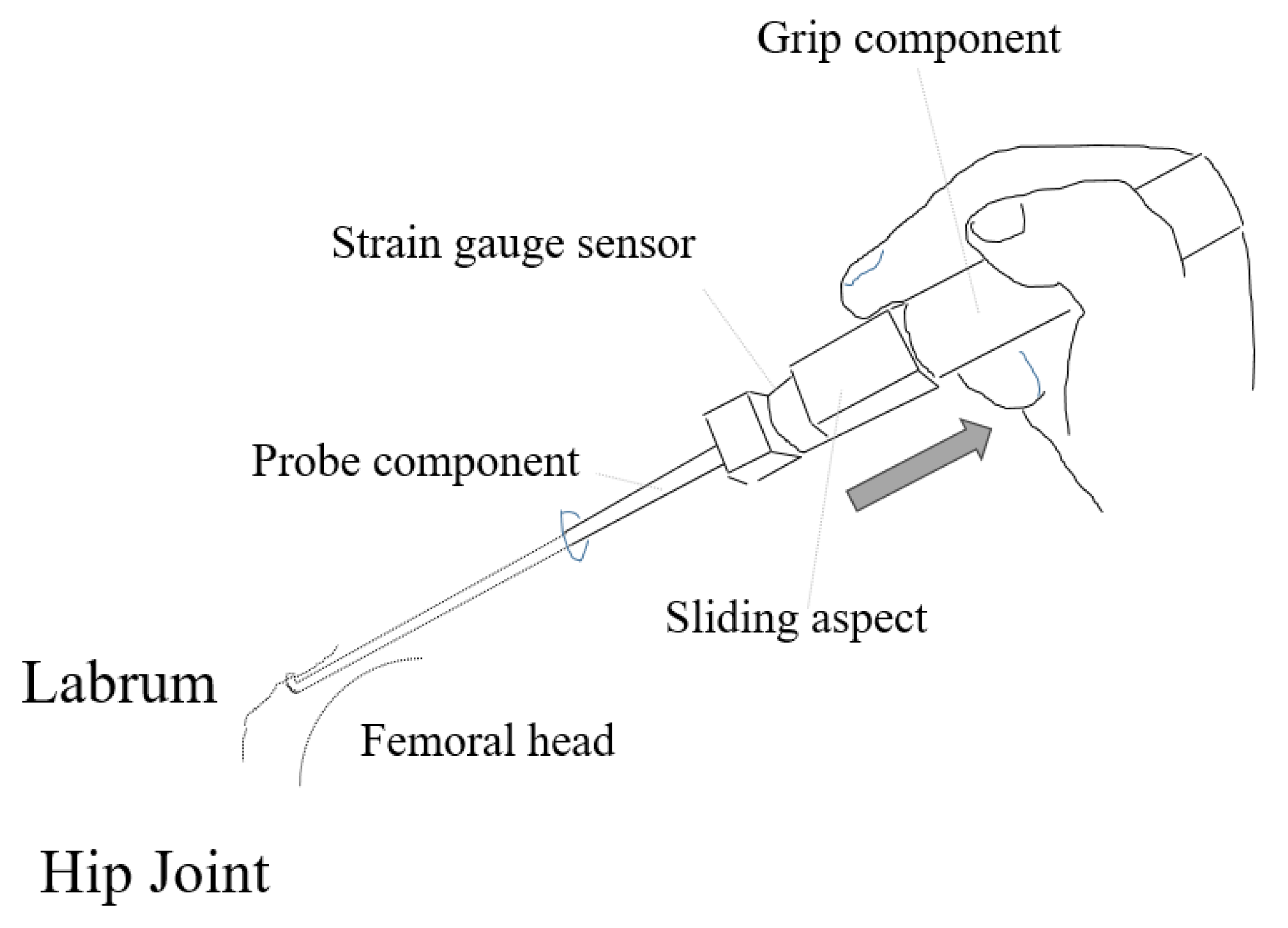 Biomimetics 06 00035 g001
