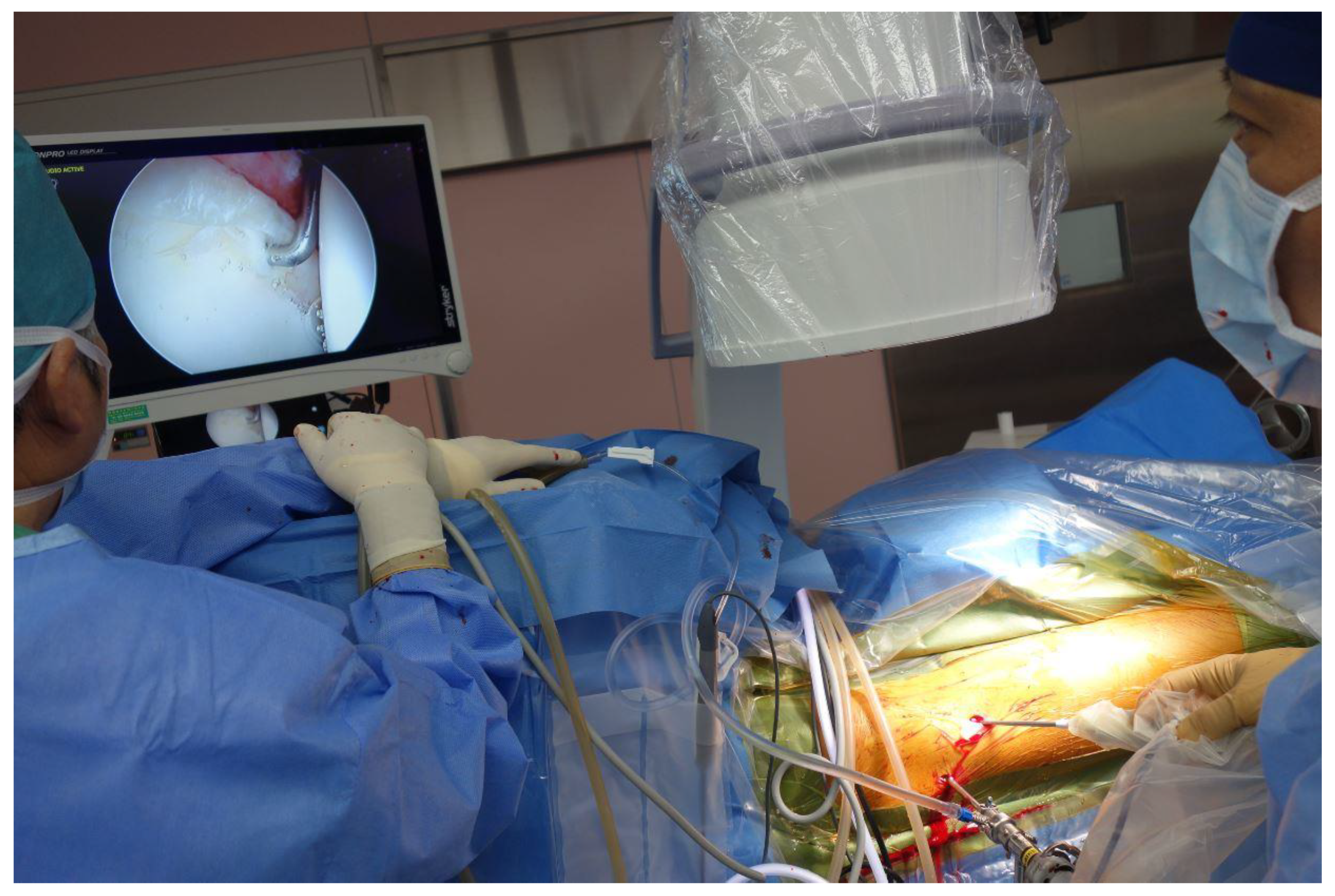 Biomimetics 06 00035 g002