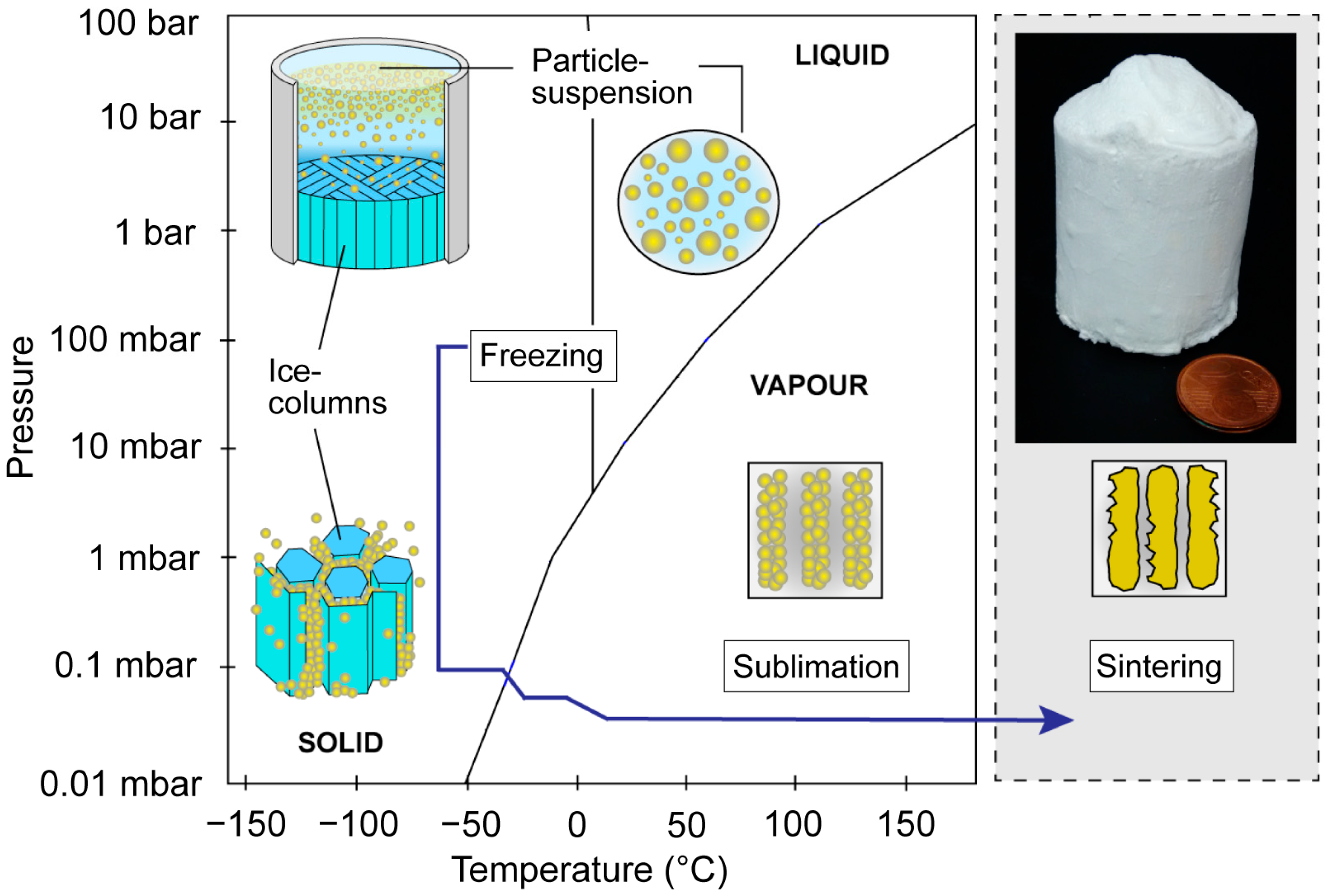 Biomimetics 06 00036 g002 Biomimetics 06 00036 g002