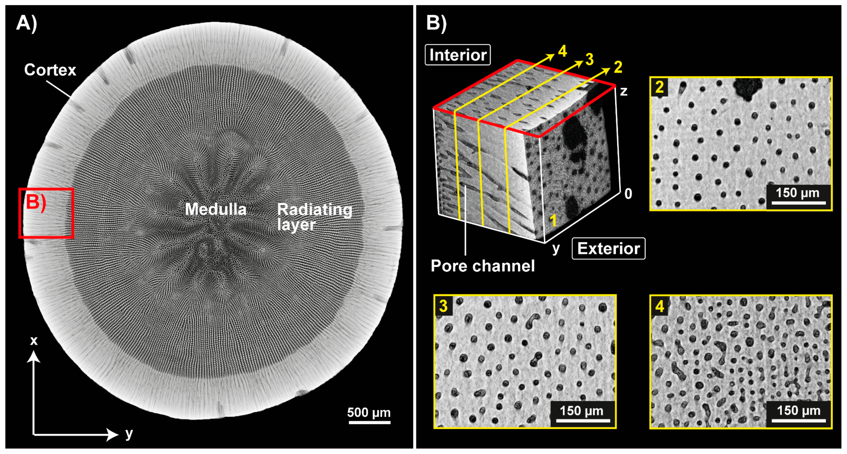 Biomimetics 06 00036 g005 Biomimetics 06 00036 g005