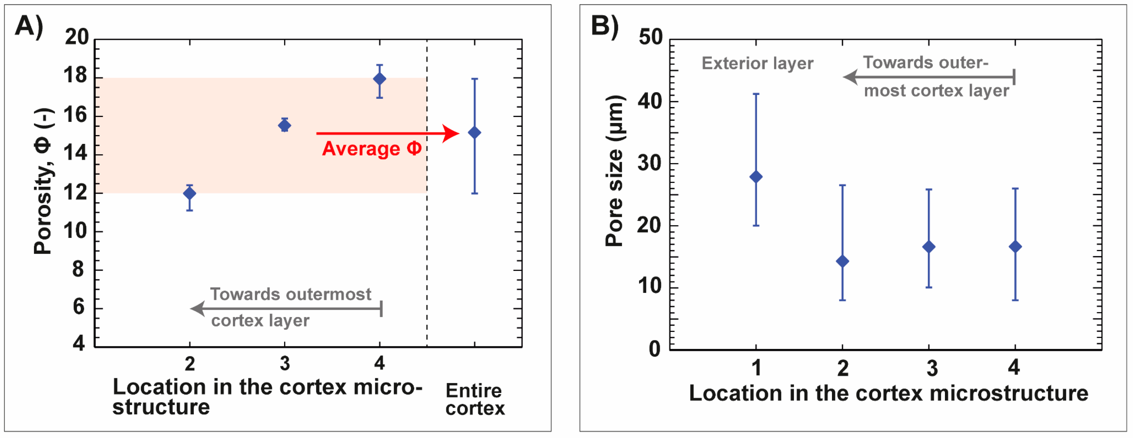 Biomimetics 06 00036 g006 Biomimetics 06 00036 g006