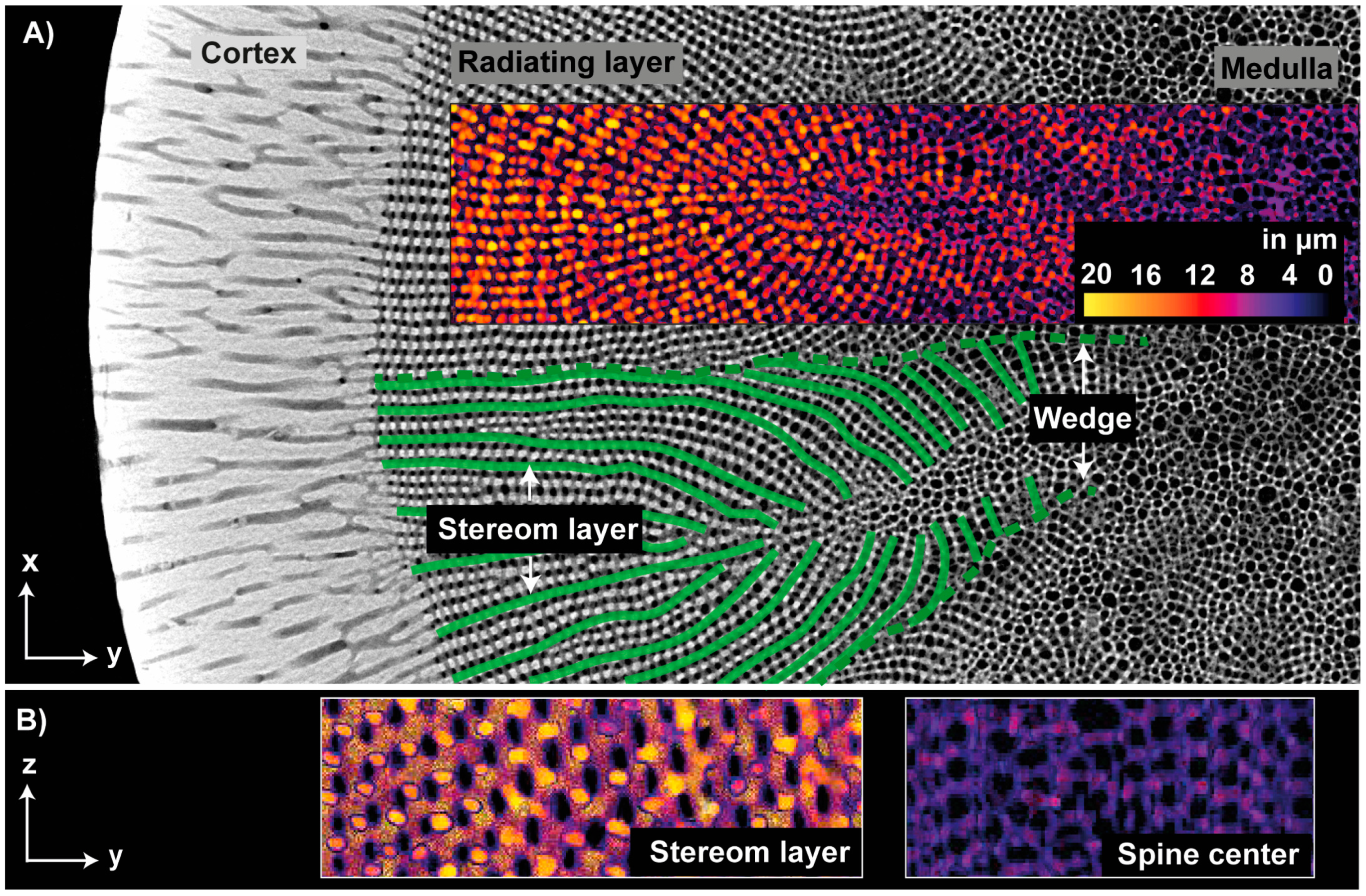 Biomimetics 06 00036 g009 Biomimetics 06 00036 g009