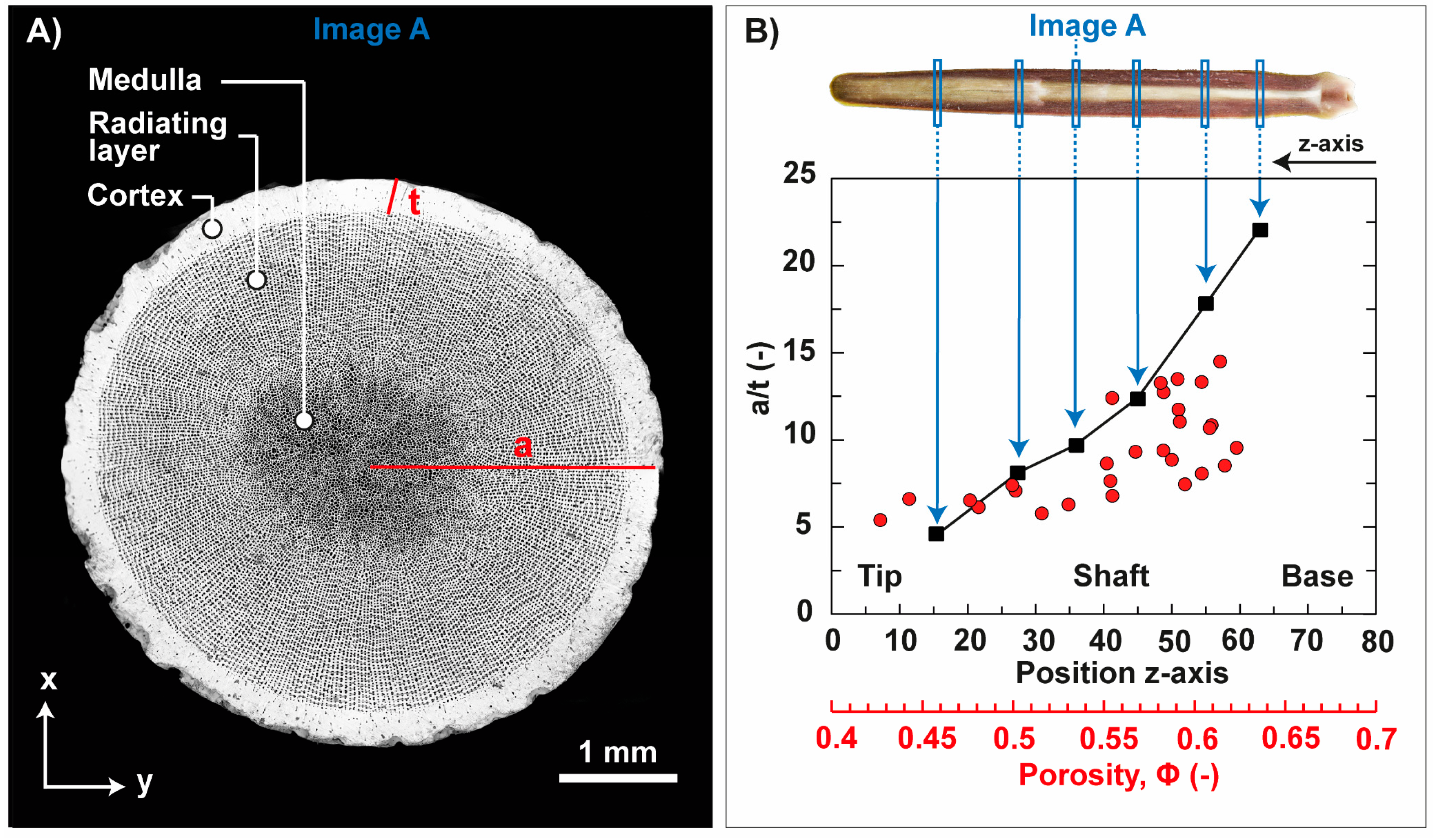 Biomimetics 06 00036 g010 Biomimetics 06 00036 g010