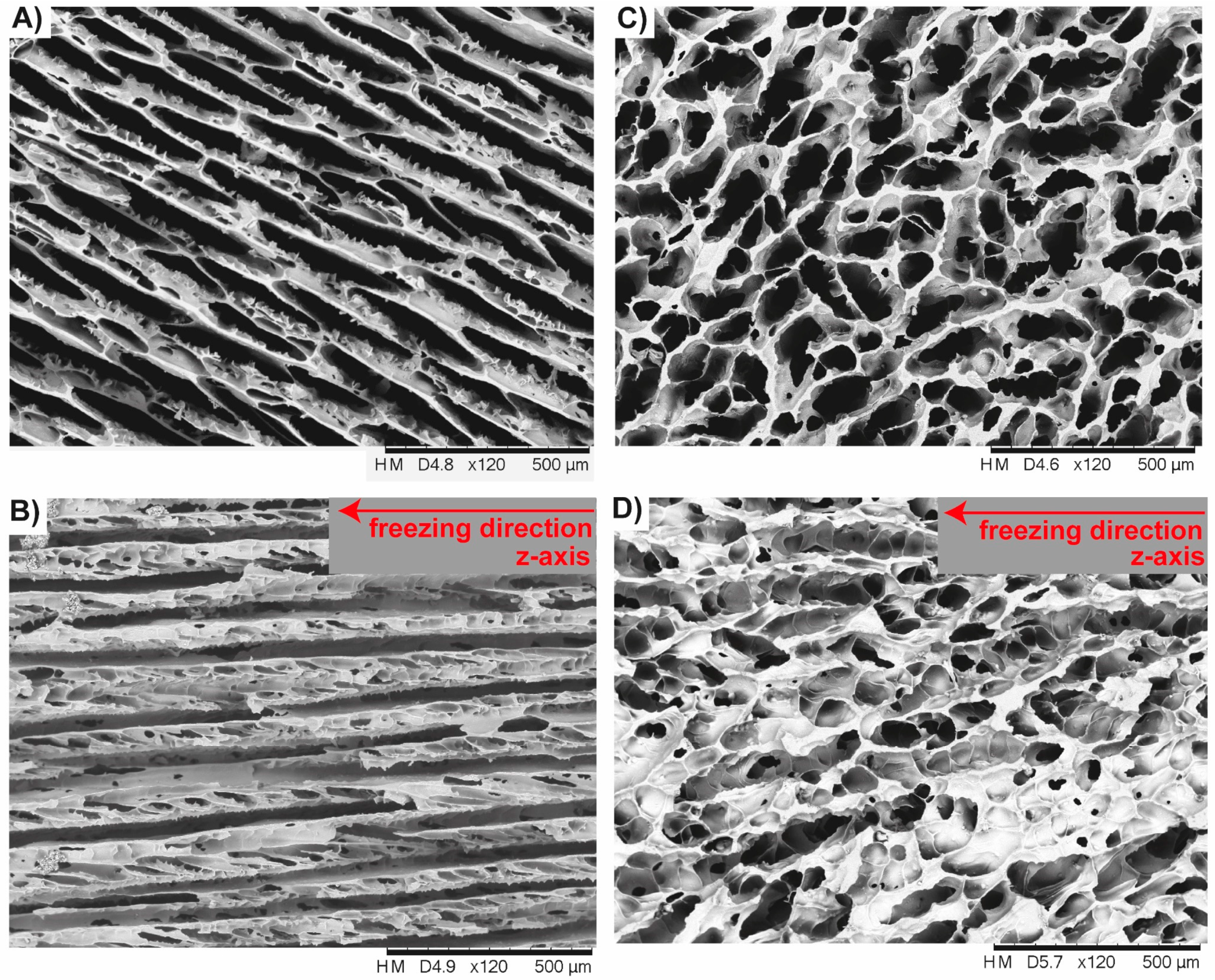 Biomimetics 06 00036 g016 Biomimetics 06 00036 g016