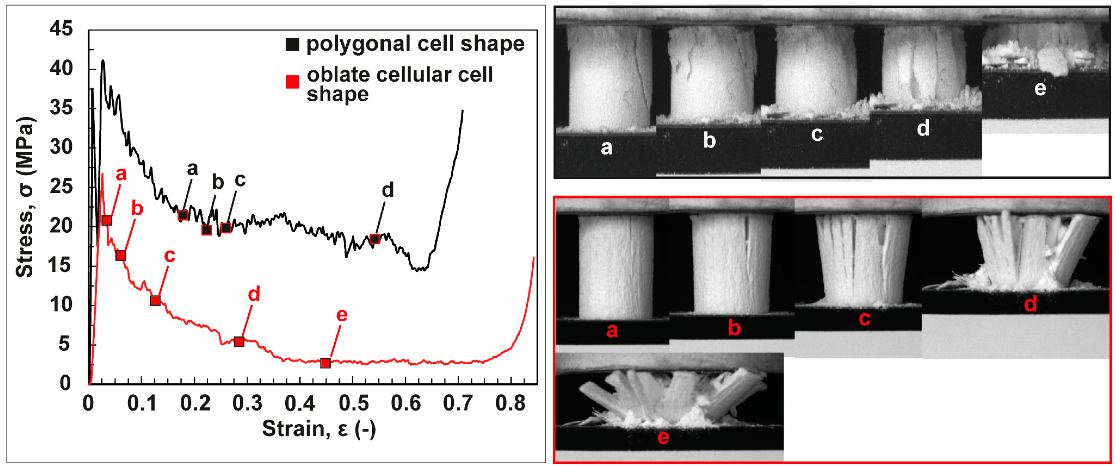 Biomimetics 06 00036 g018 Biomimetics 06 00036 g018