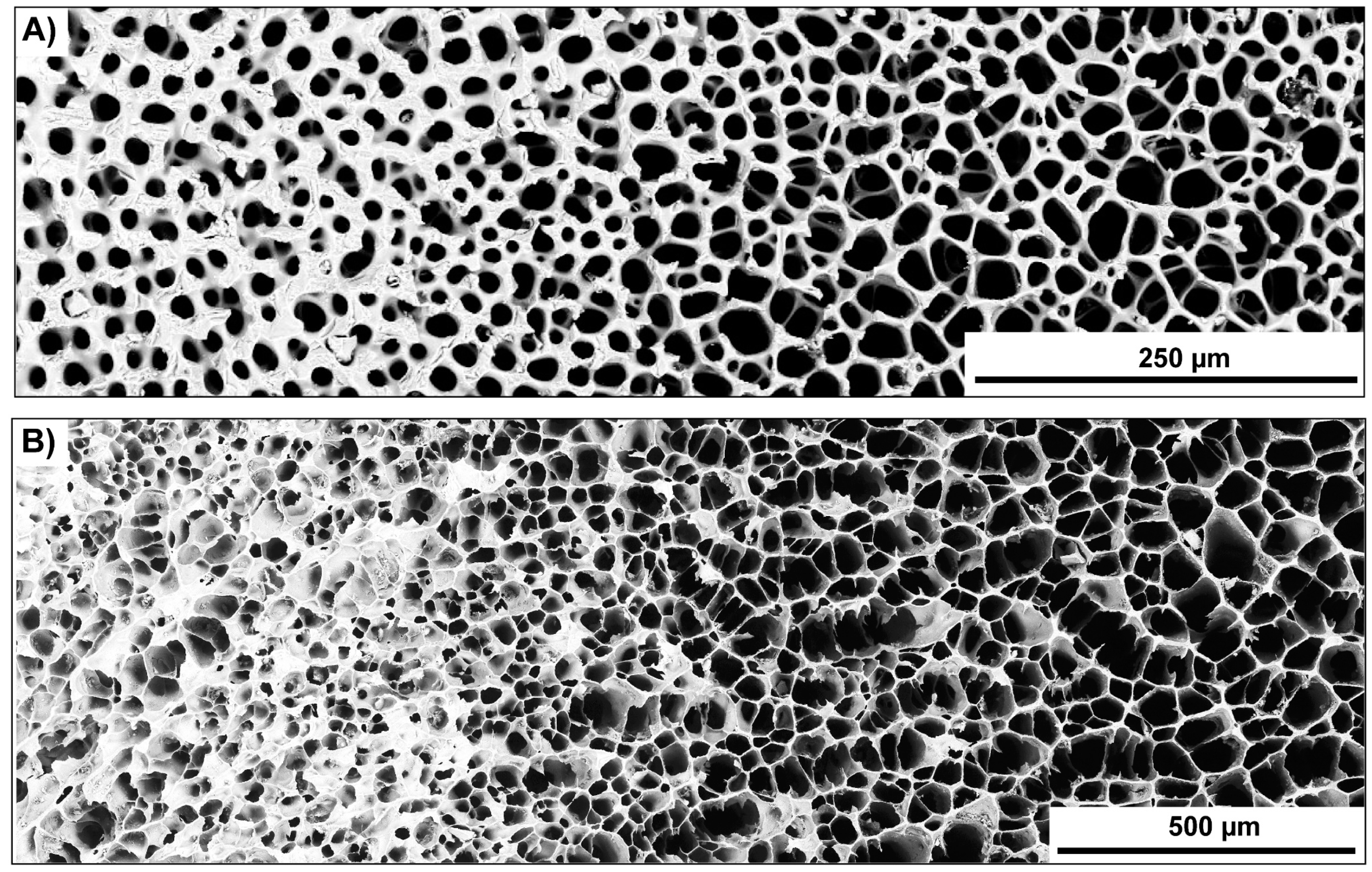 Biomimetics 06 00036 g019 Biomimetics 06 00036 g019