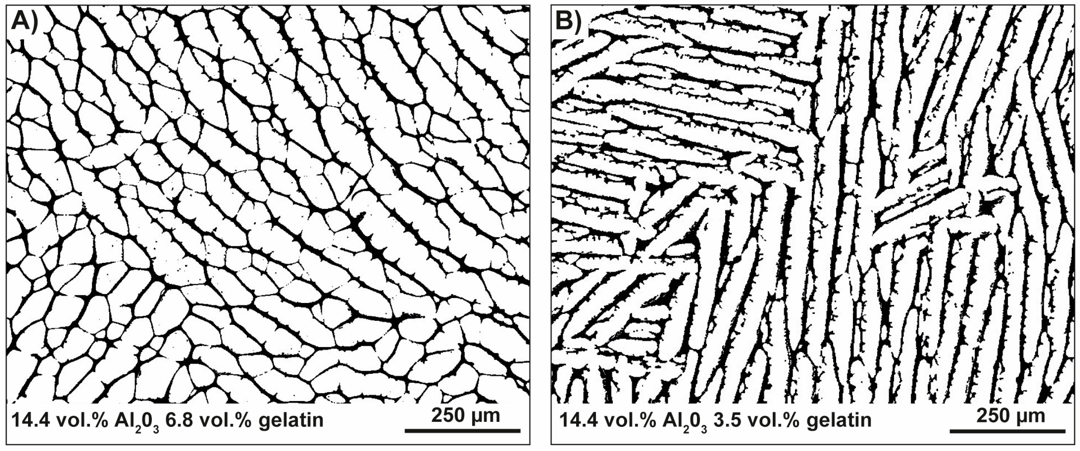 Biomimetics 06 00036 g020 Biomimetics 06 00036 g020