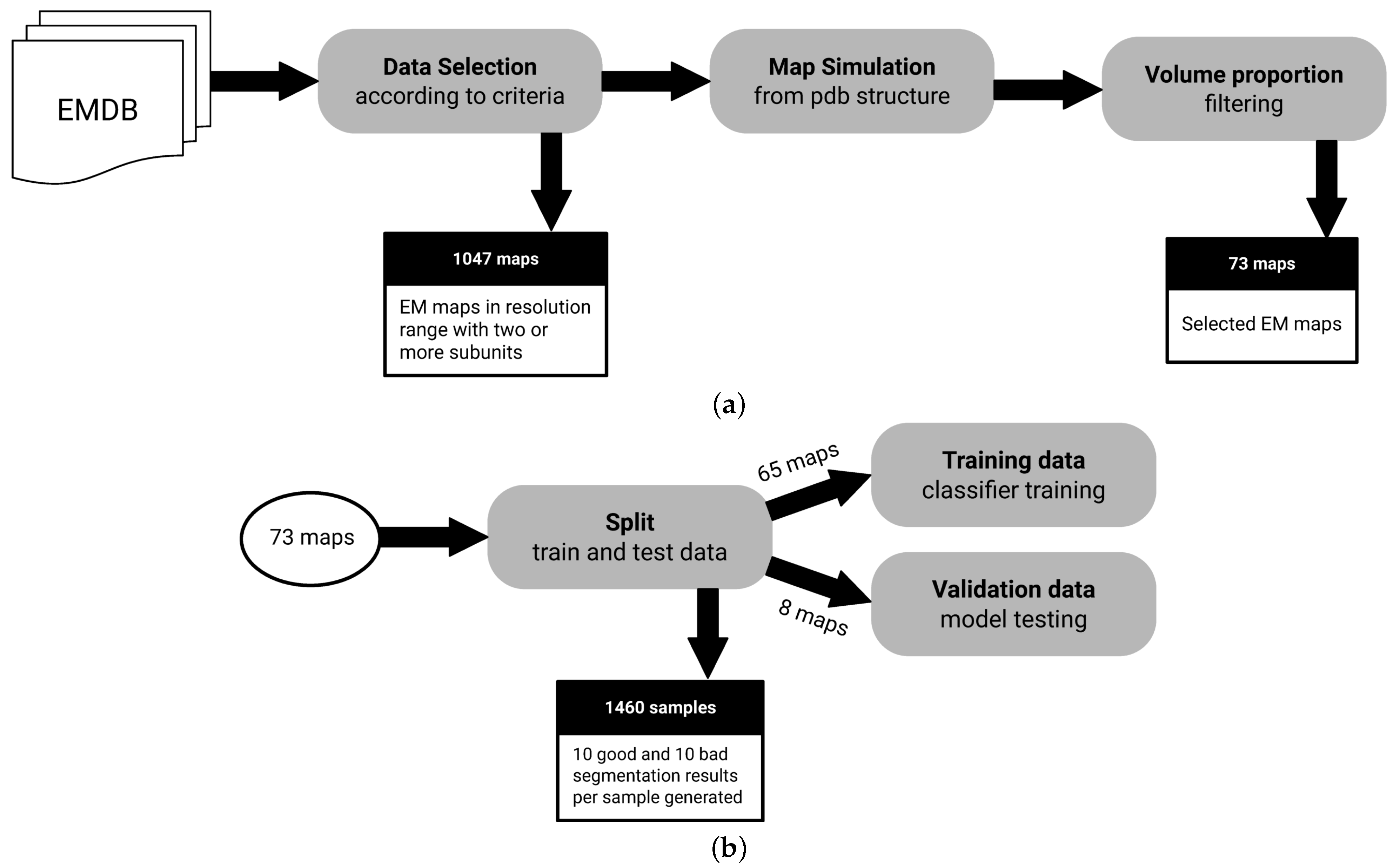 Biomimetics 06 00037 g002