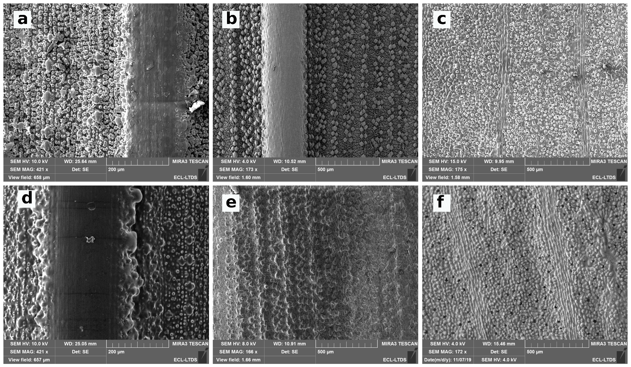 Biomimetics 06 00038 g007 Biomimetics 06 00038 g007