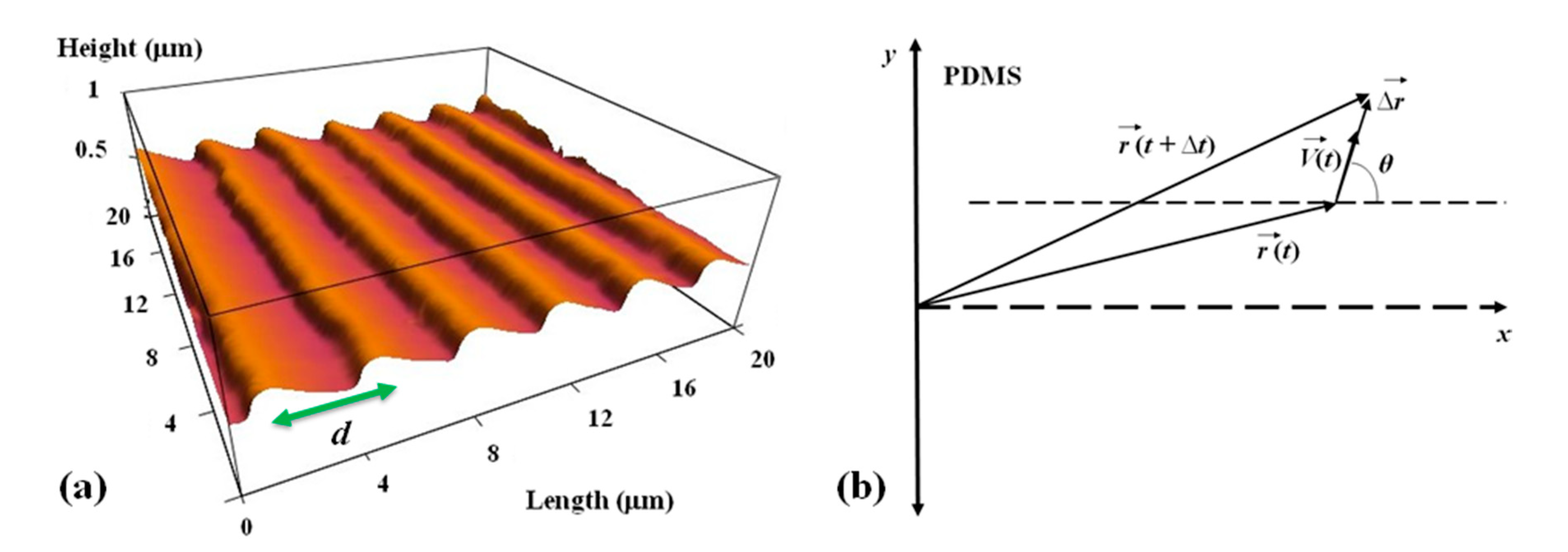 Biomimetics 06 00041 g001