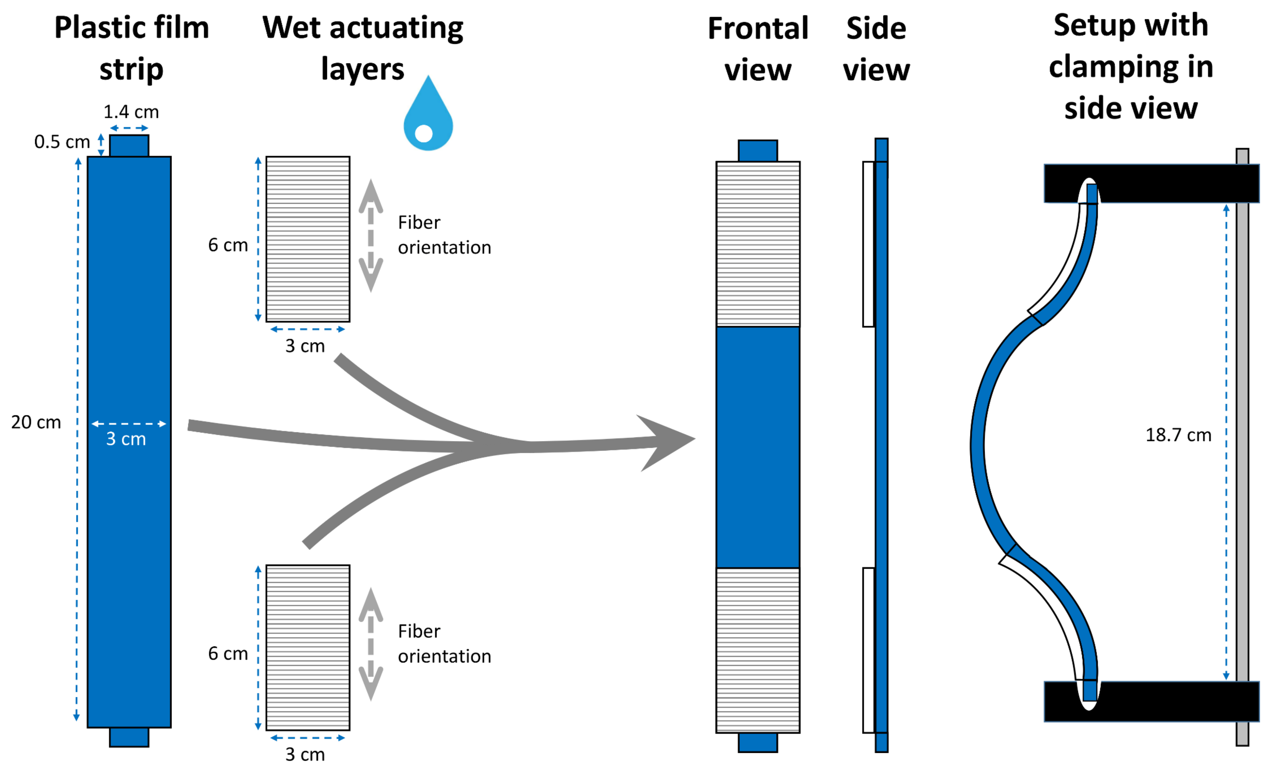 Biomimetics 06 00042 g007