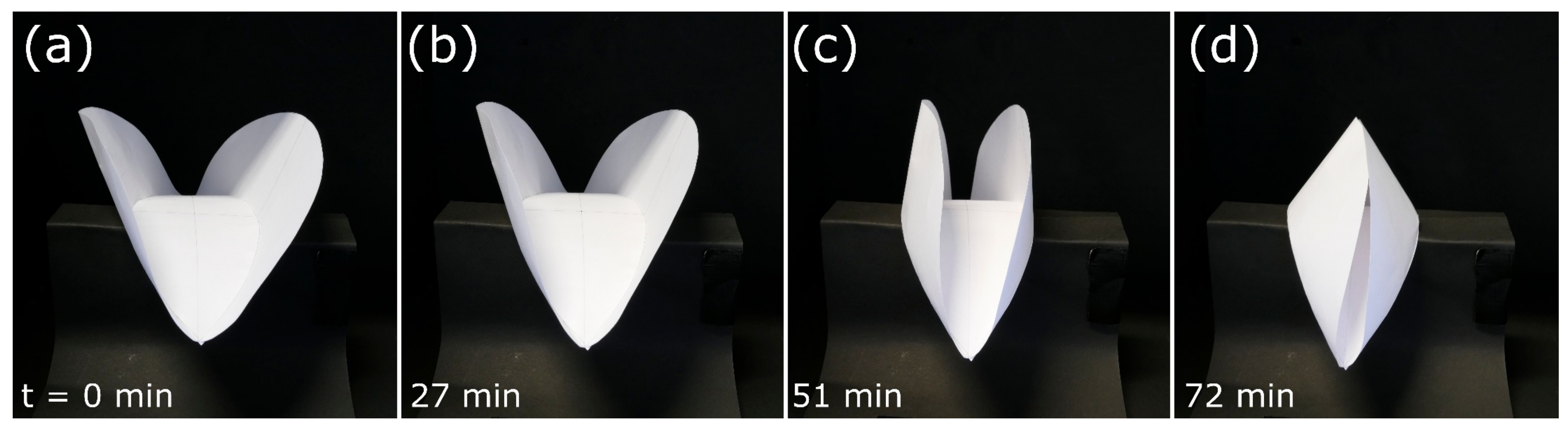 Biomimetics 06 00042 g013