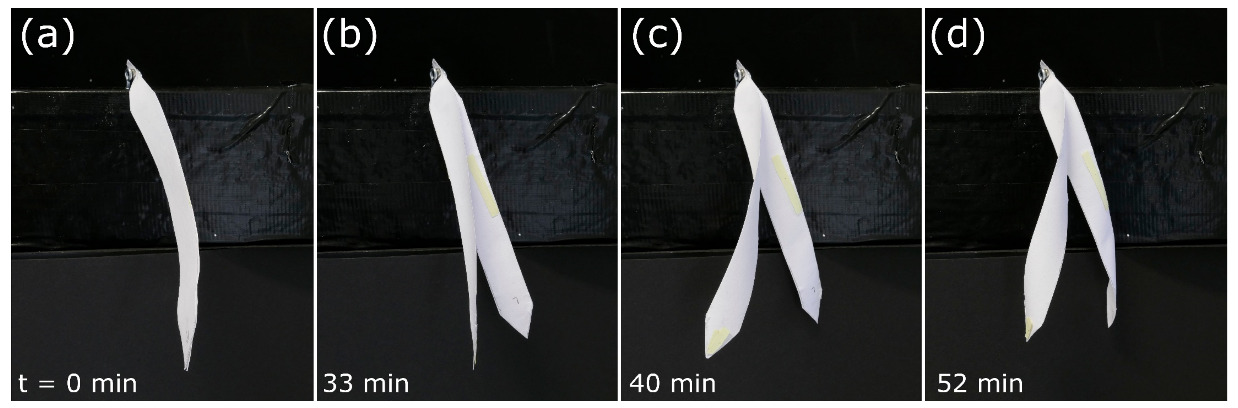 Biomimetics 06 00042 g015