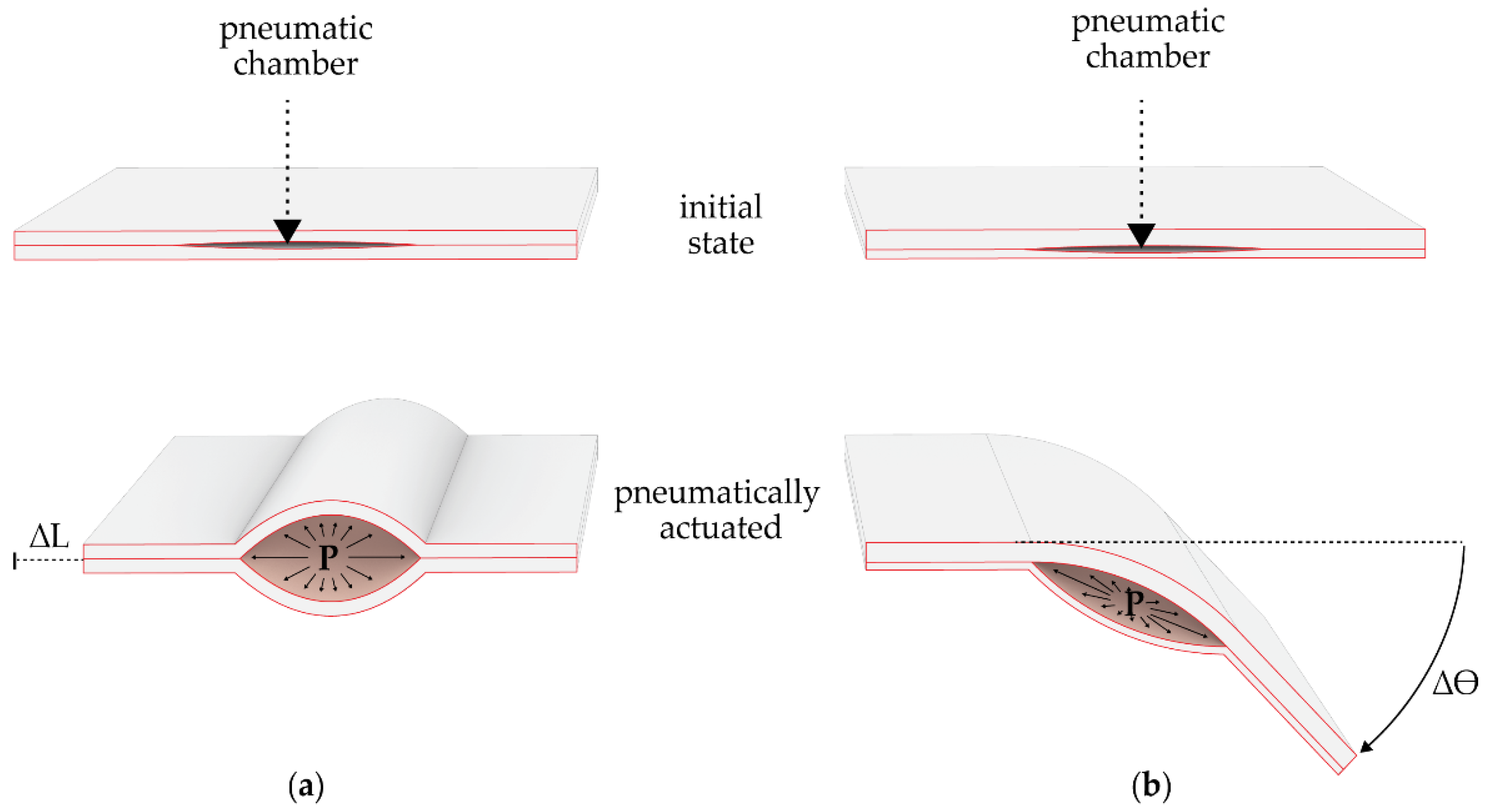 Biomimetics 06 00043 g002