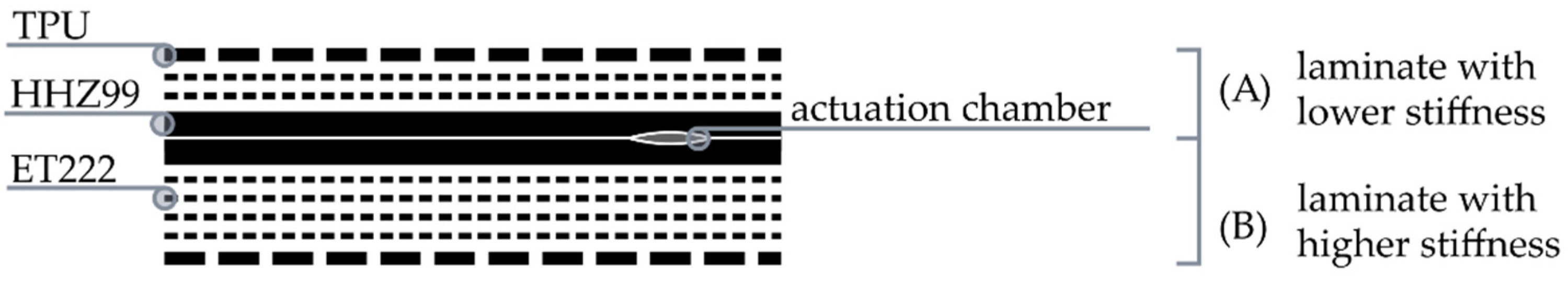 Biomimetics 06 00043 g003