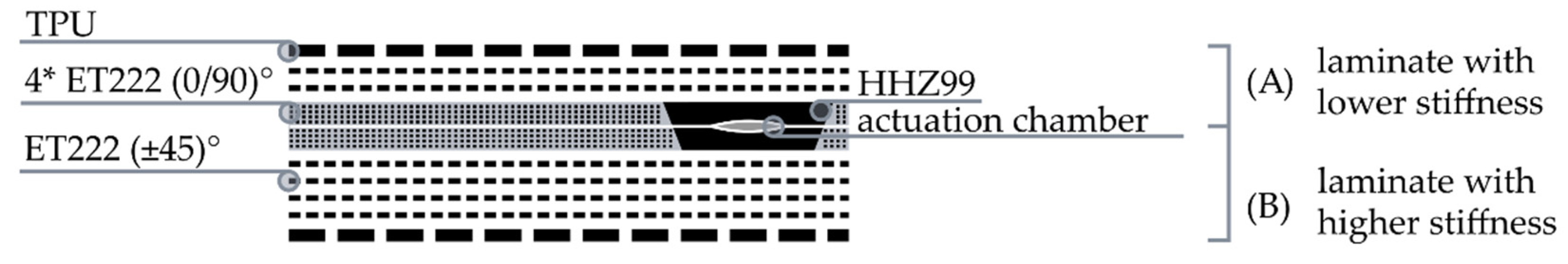 Biomimetics 06 00043 g011