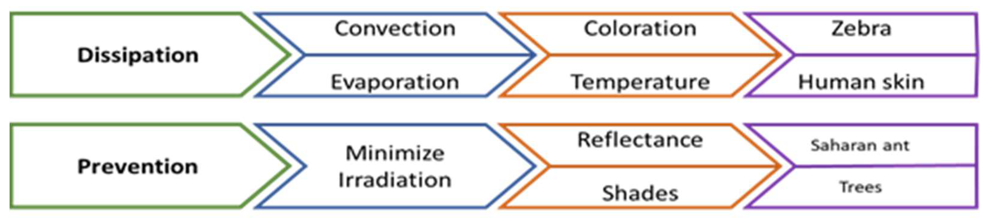 Biomimetics 06 00048 g005 550