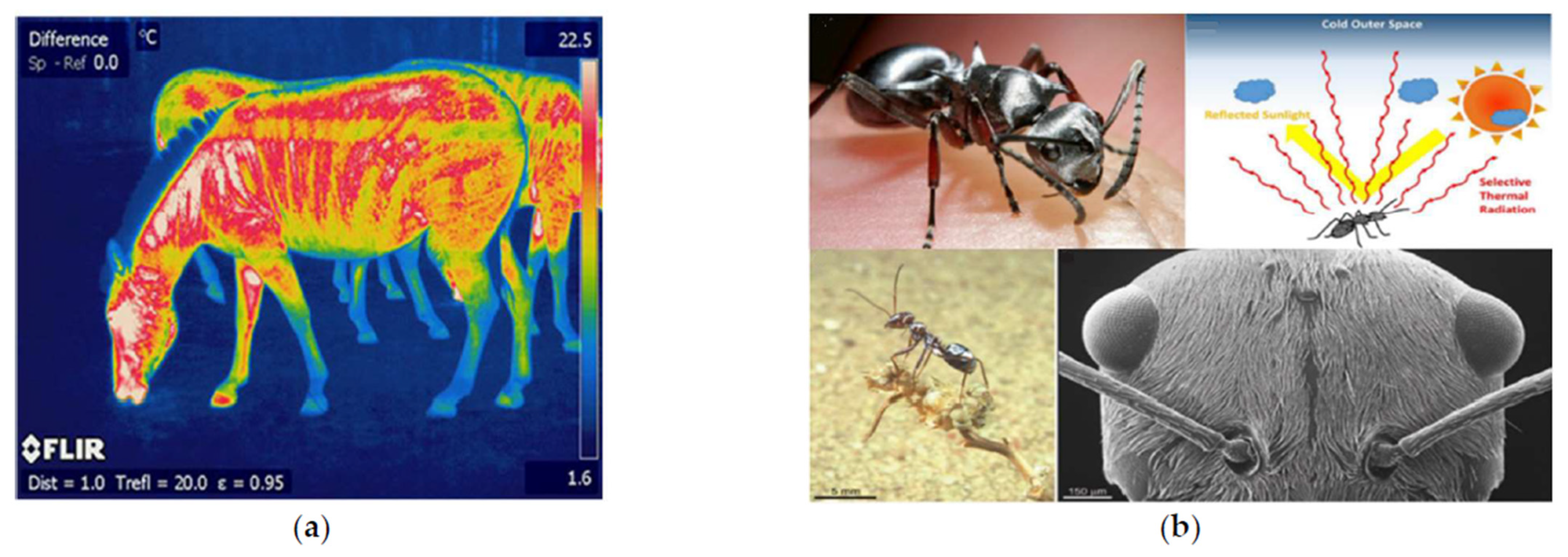 Biomimetics 06 00048 g007 550