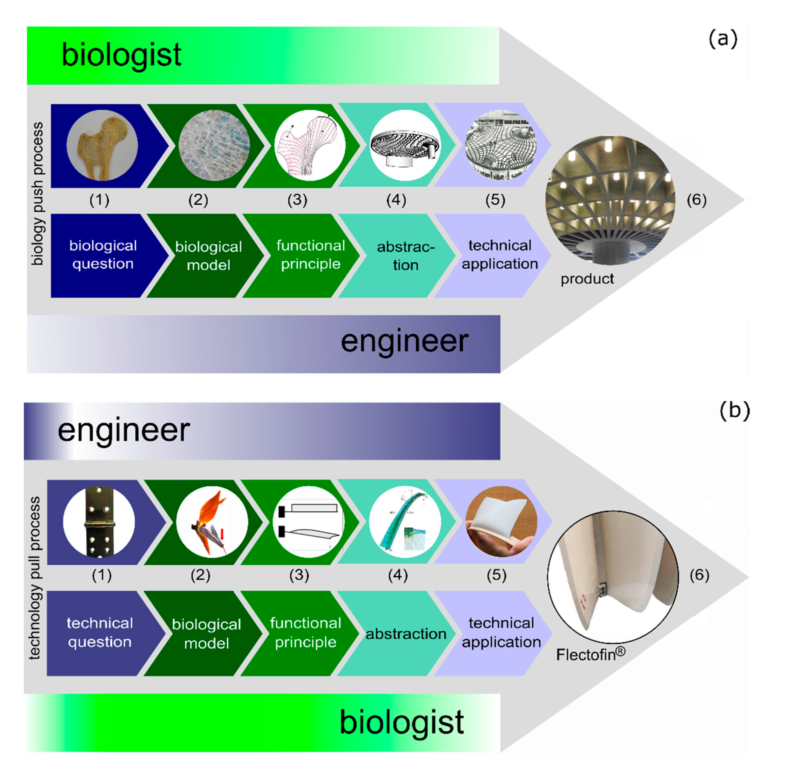 Biomimetics, Free Full-Text