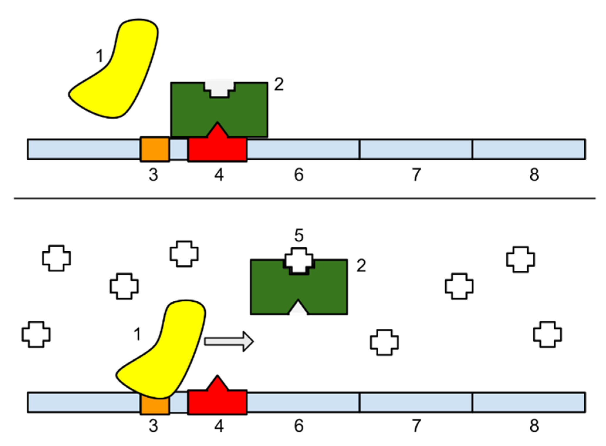 Biomimetics 06 00050 g003