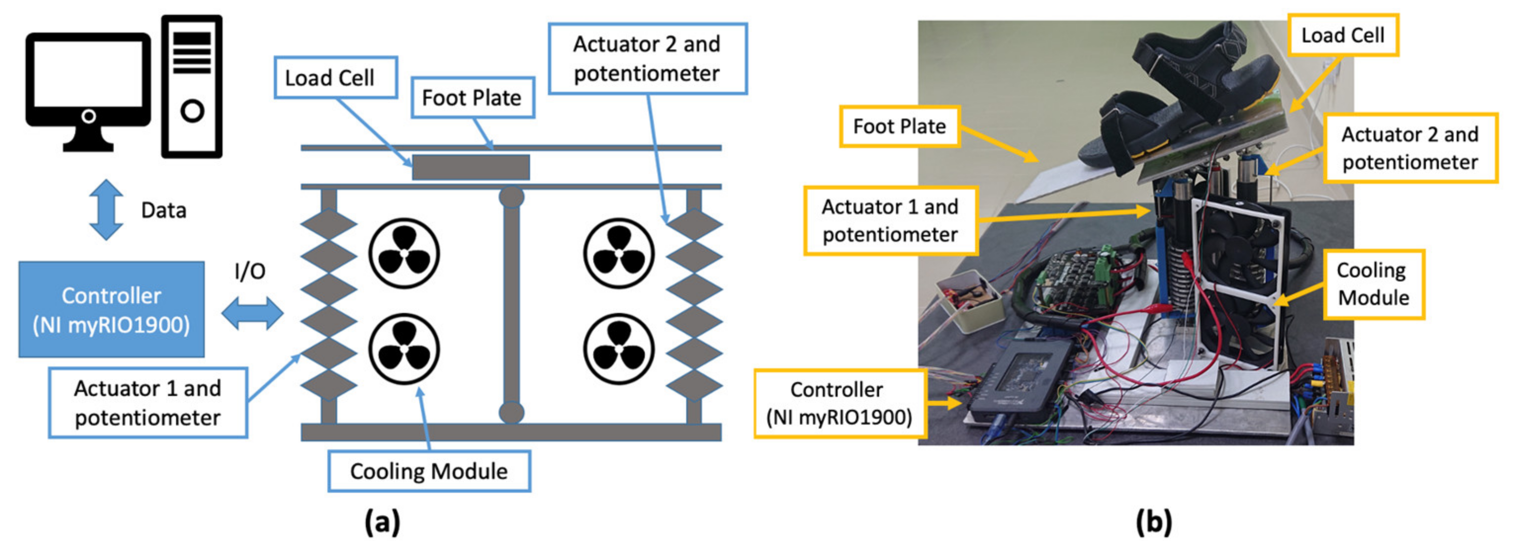 Biomimetics 06 00053 g001