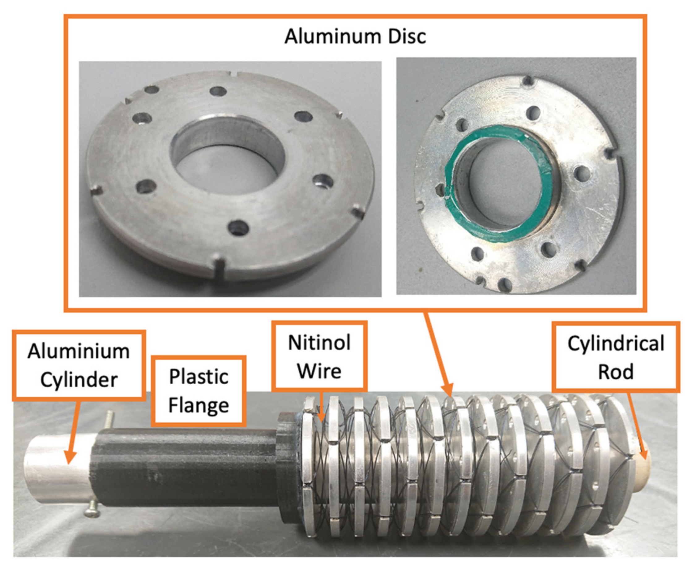Biomimetics 06 00053 g002