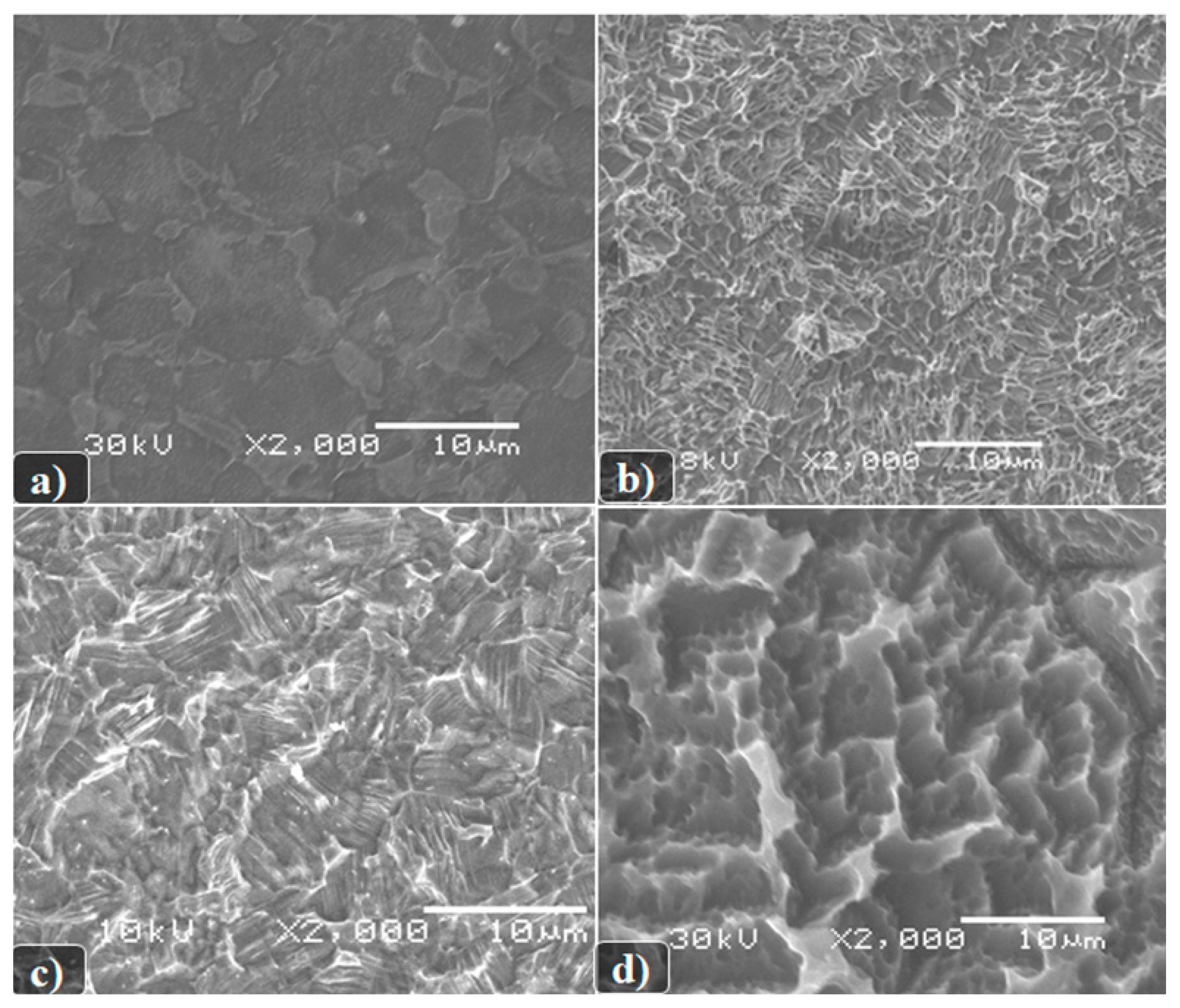 Biomimetics 06 00061 g001 550