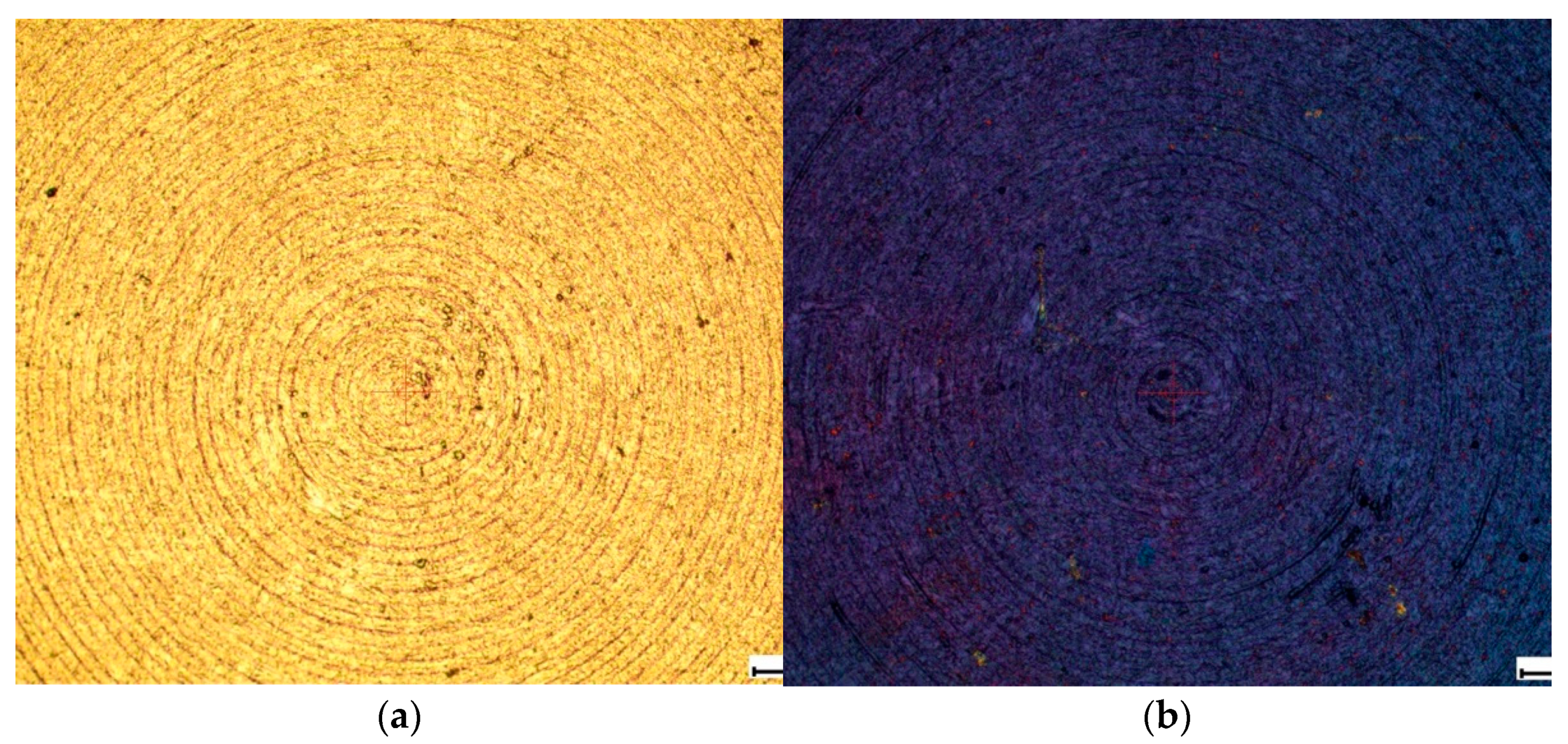 Biomimetics 06 00061 g002 550