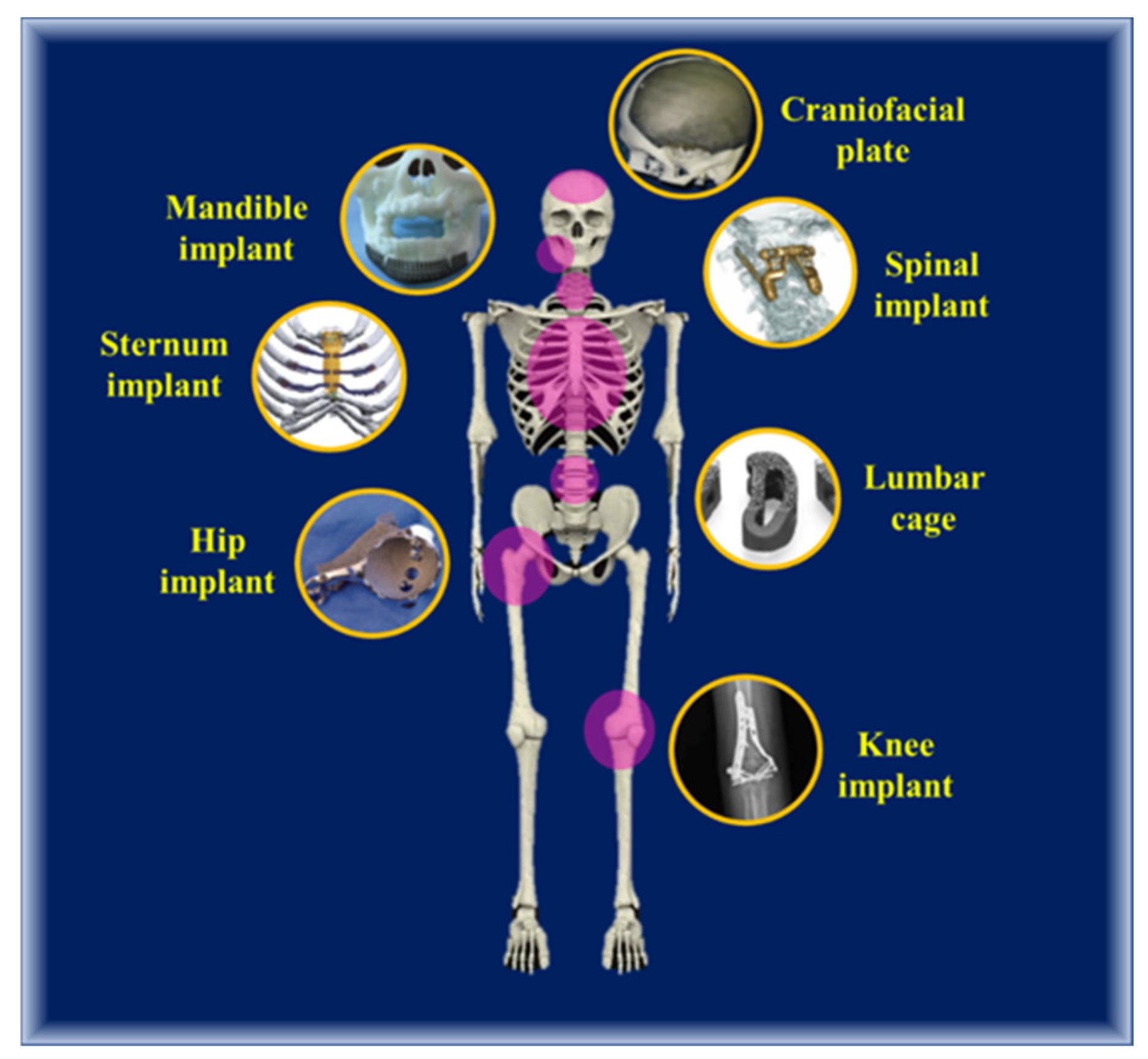 Biomimetics 06 00065 g007