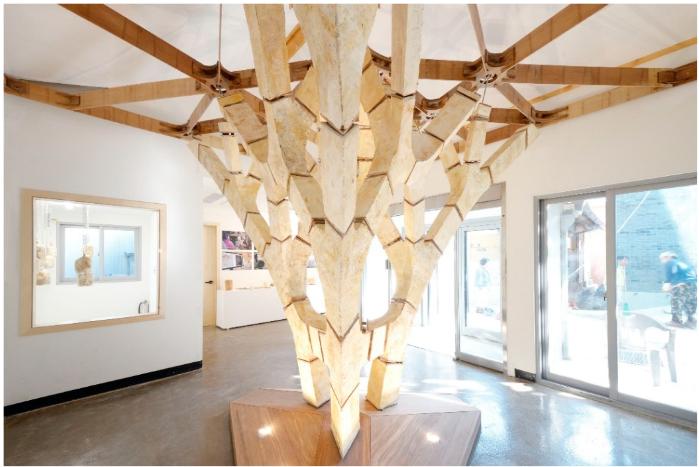 Biomimetics 06 00068 g002