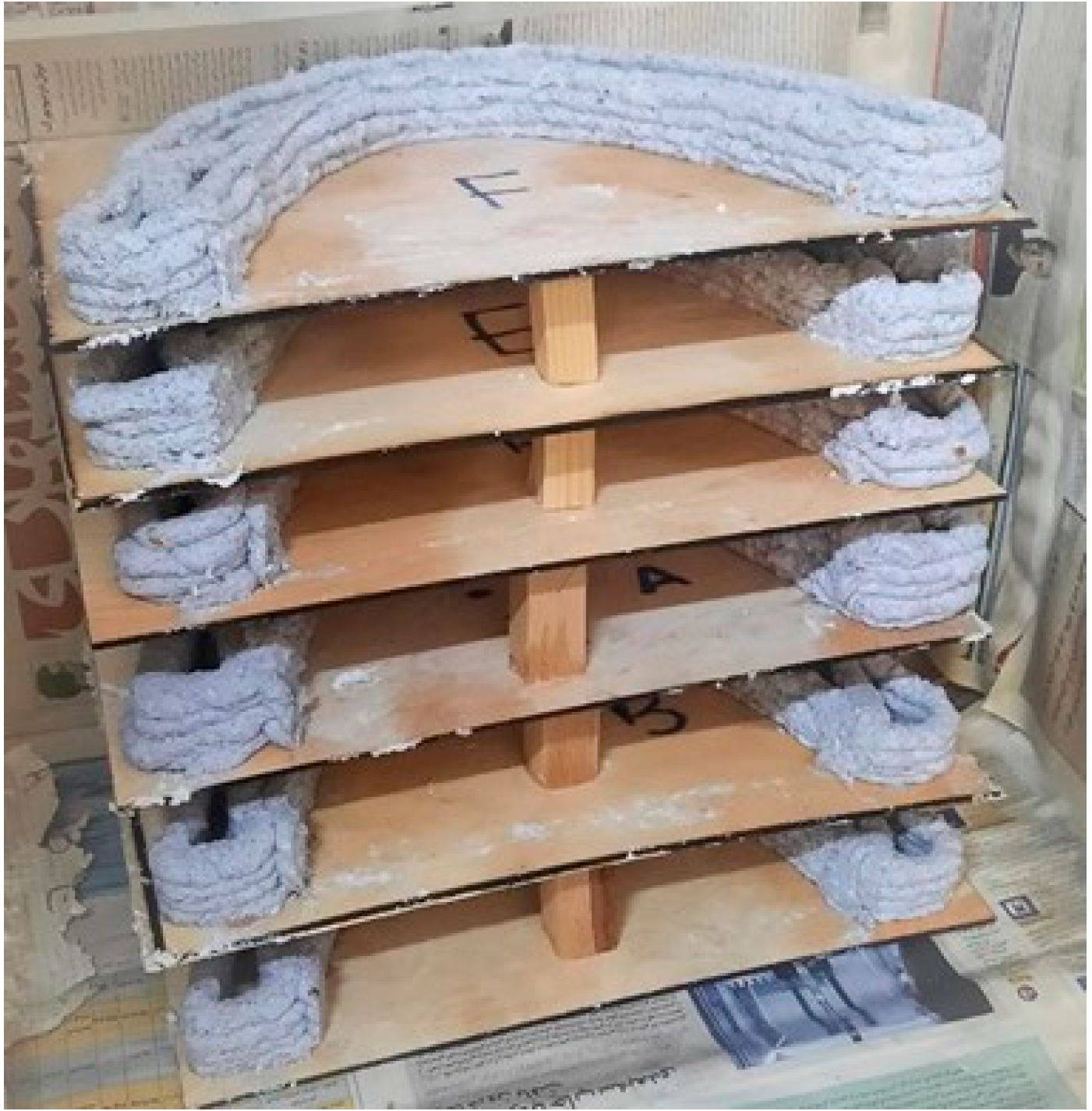 Biomimetics 06 00068 g013