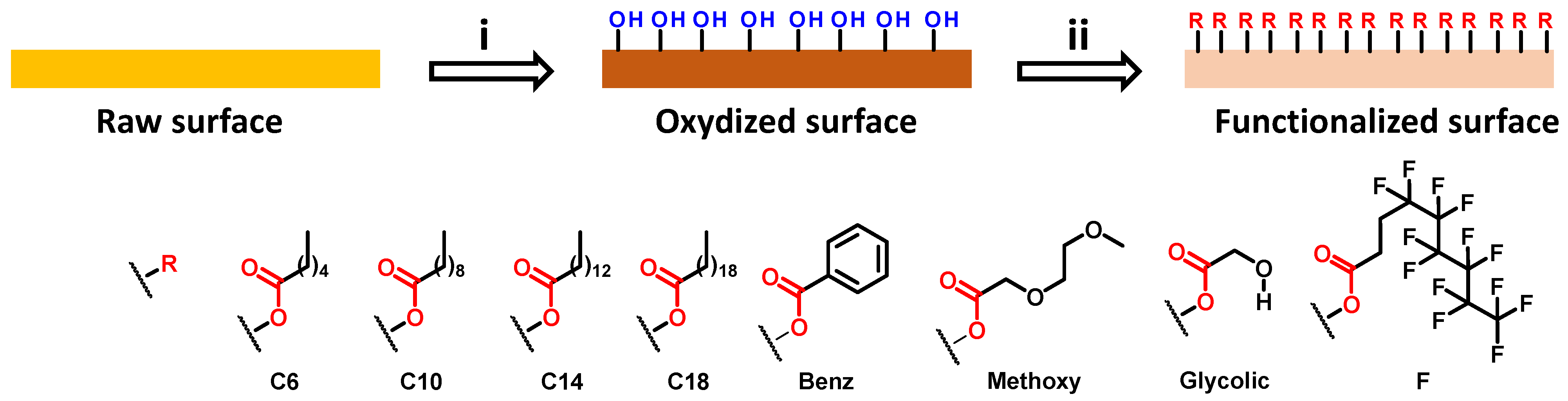 Biomimetics 06 00071 g002