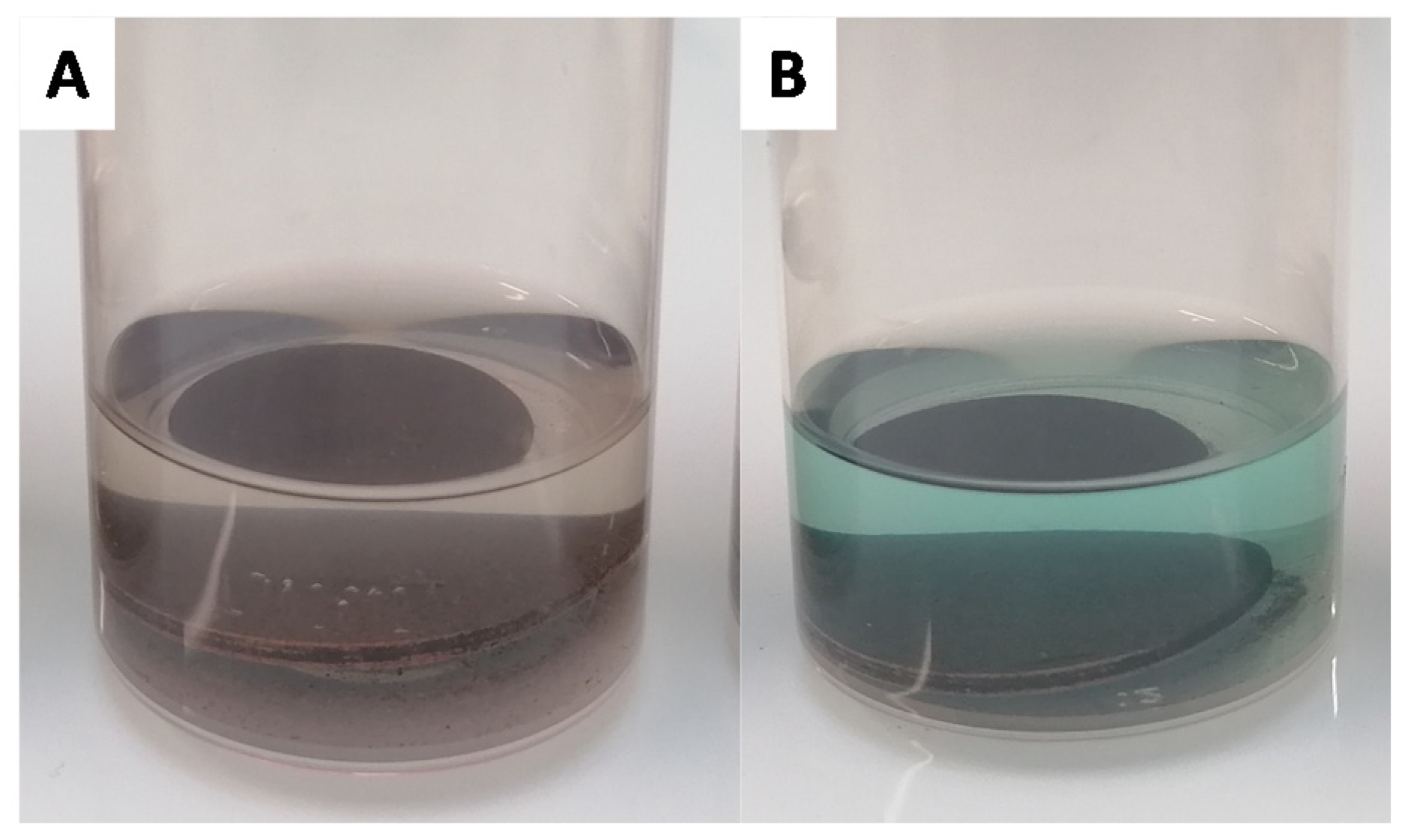 Biomimetics 06 00071 g004