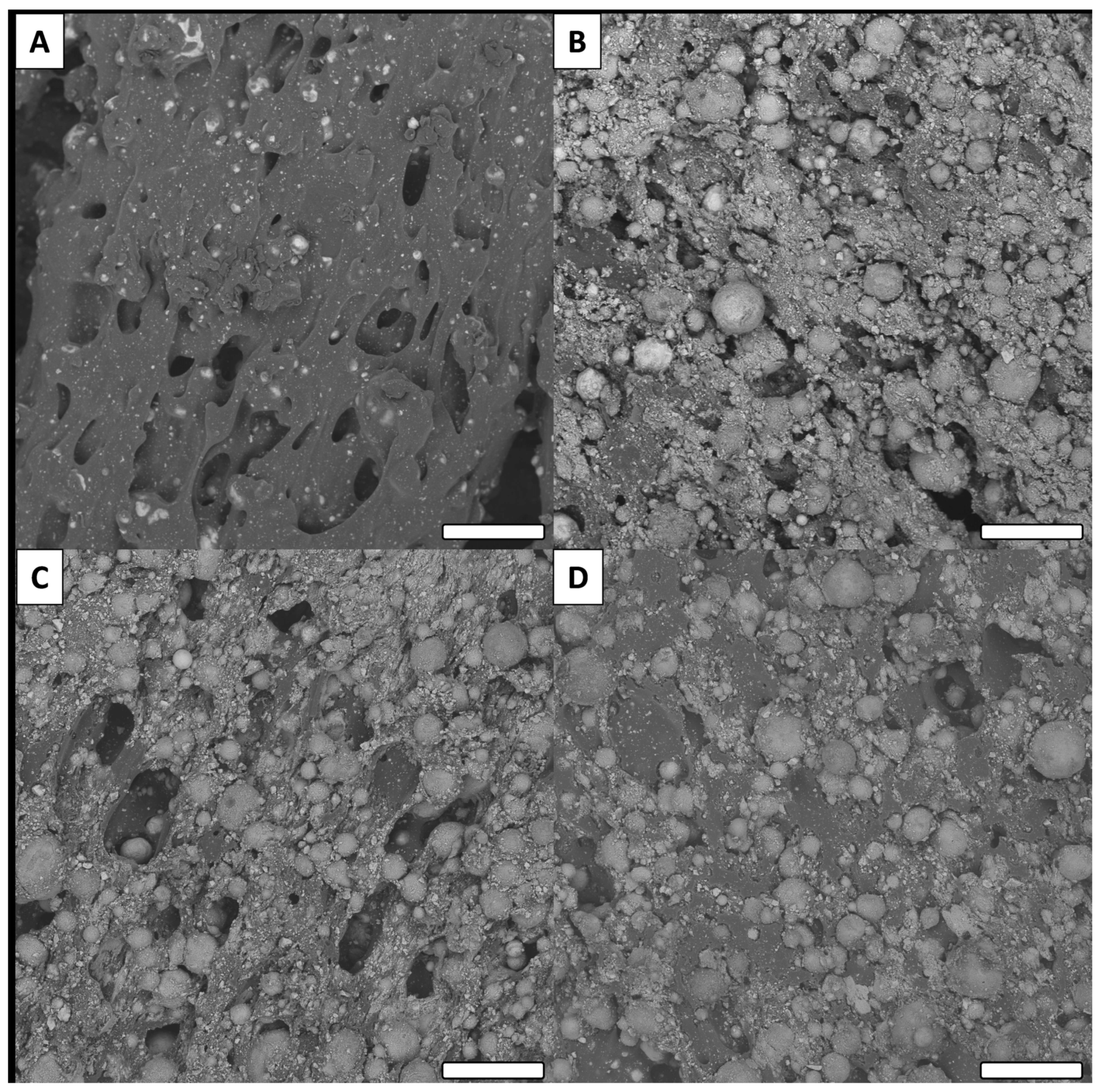 Biomimetics 06 00071 g006