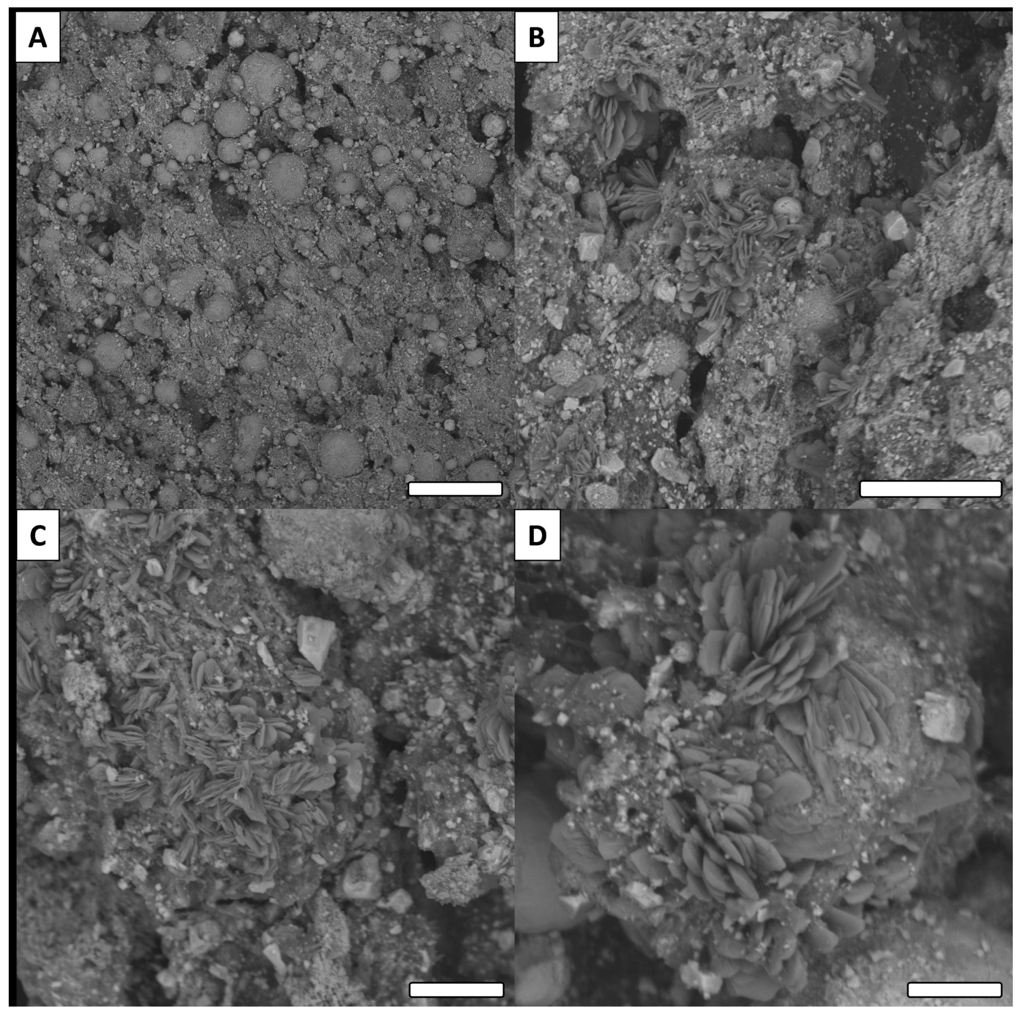 Biomimetics 06 00071 g008