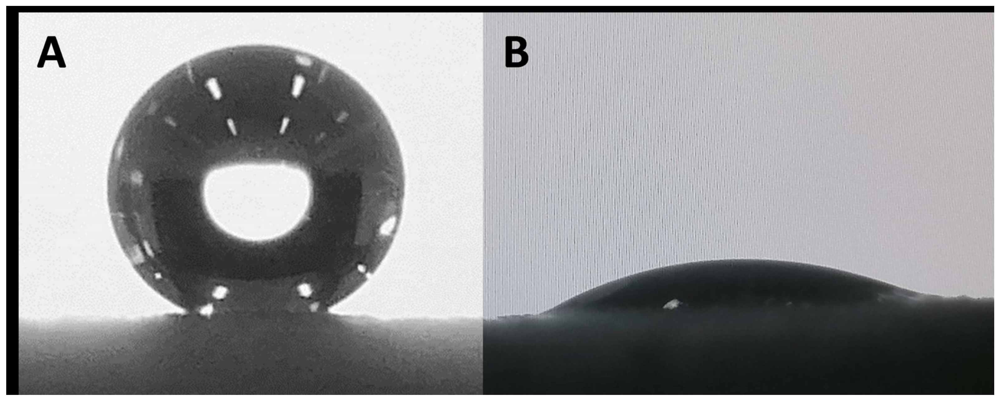 Biomimetics 06 00071 g009