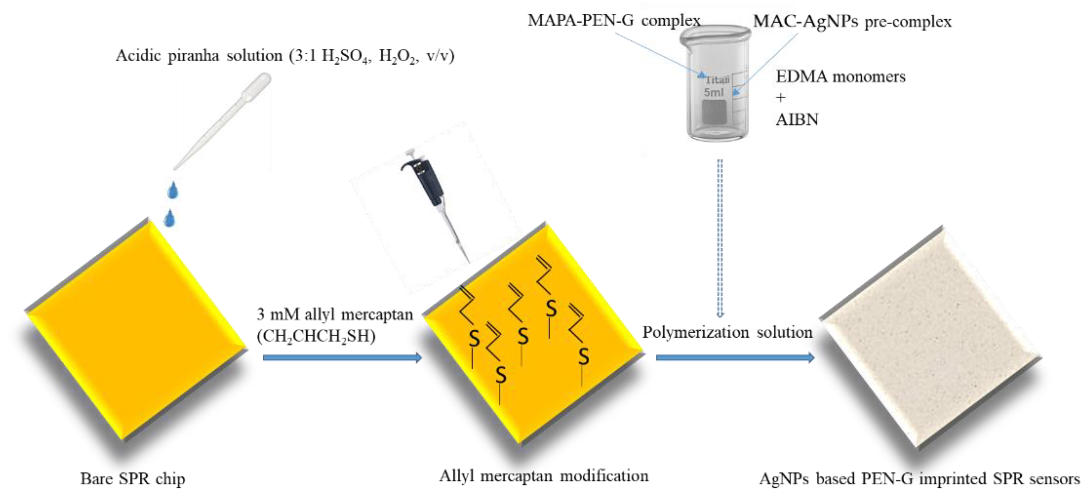 Biomimetics 06 00072 sch001