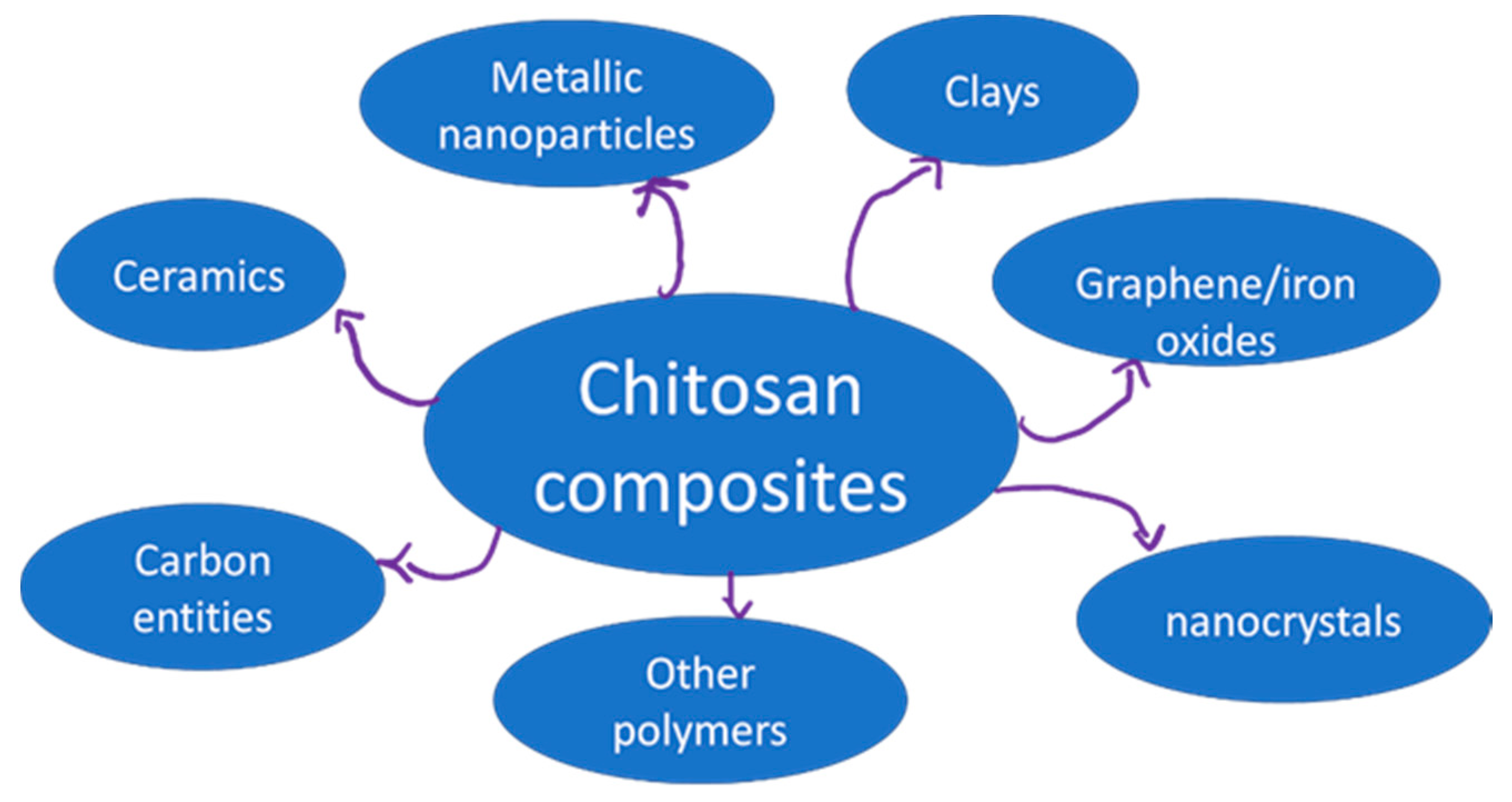 Biomimetics 07 00001 g001