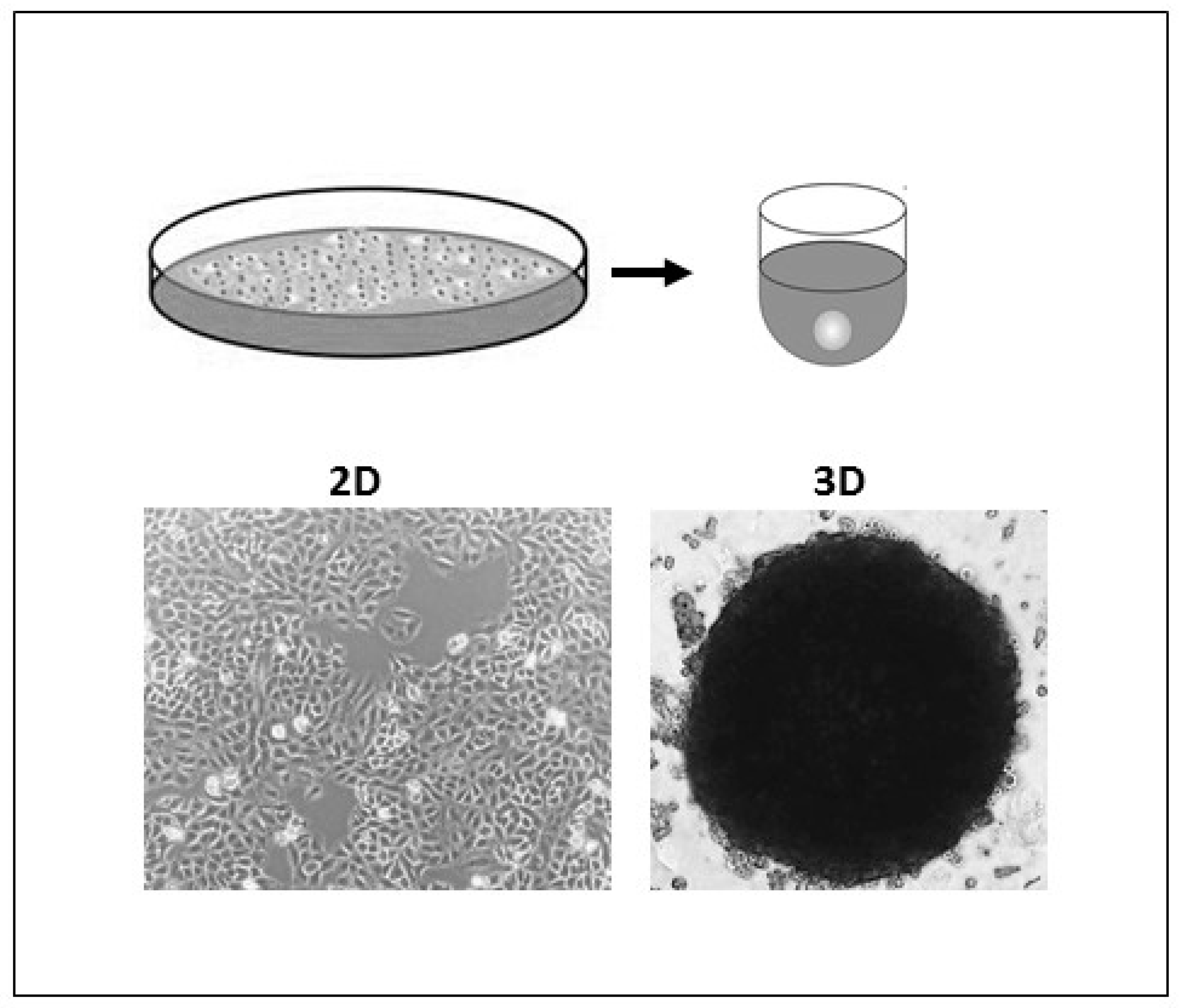 Biomimetics 07 00003 g001 550