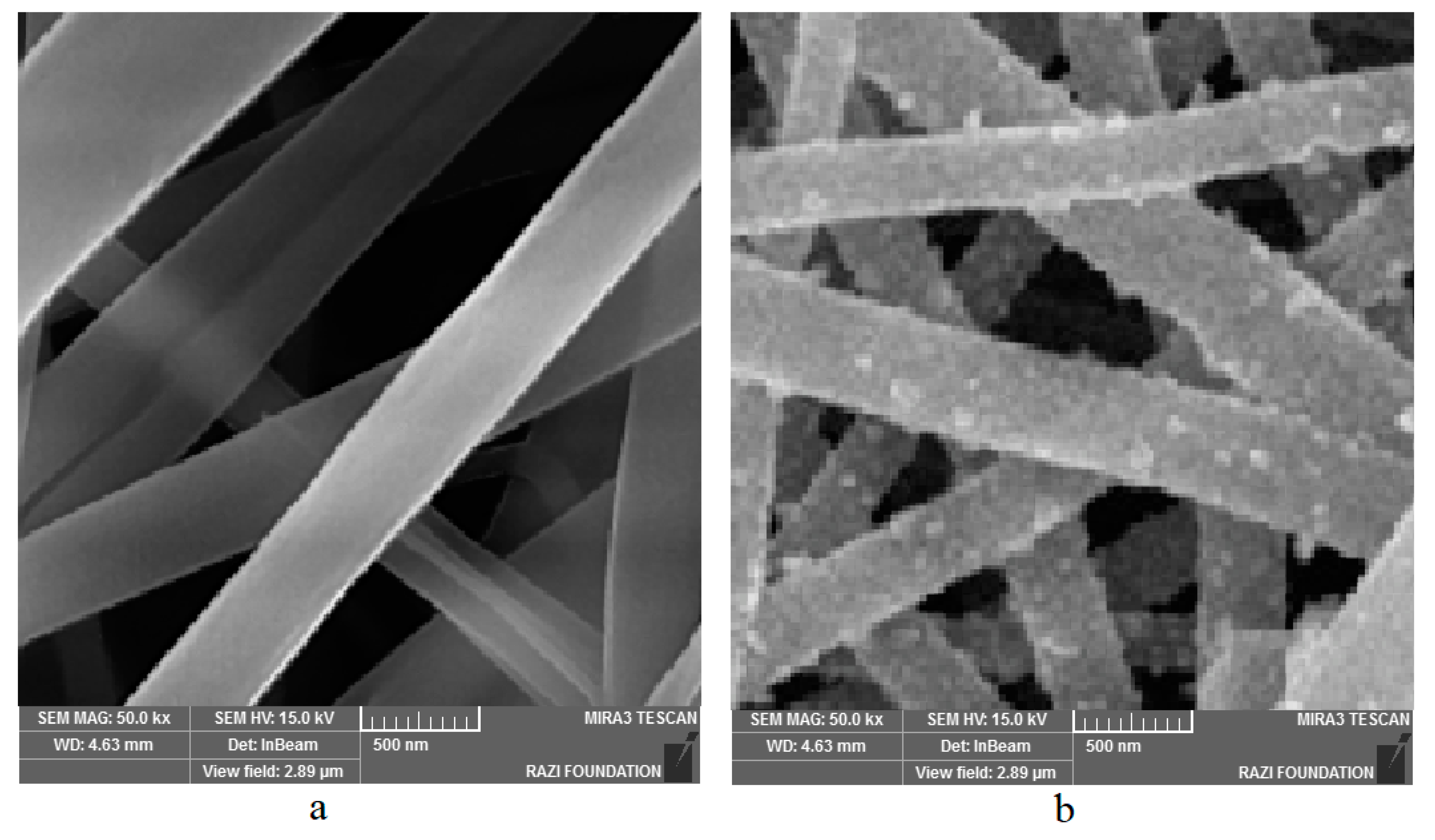 Biomimetics 07 00004 g002 550