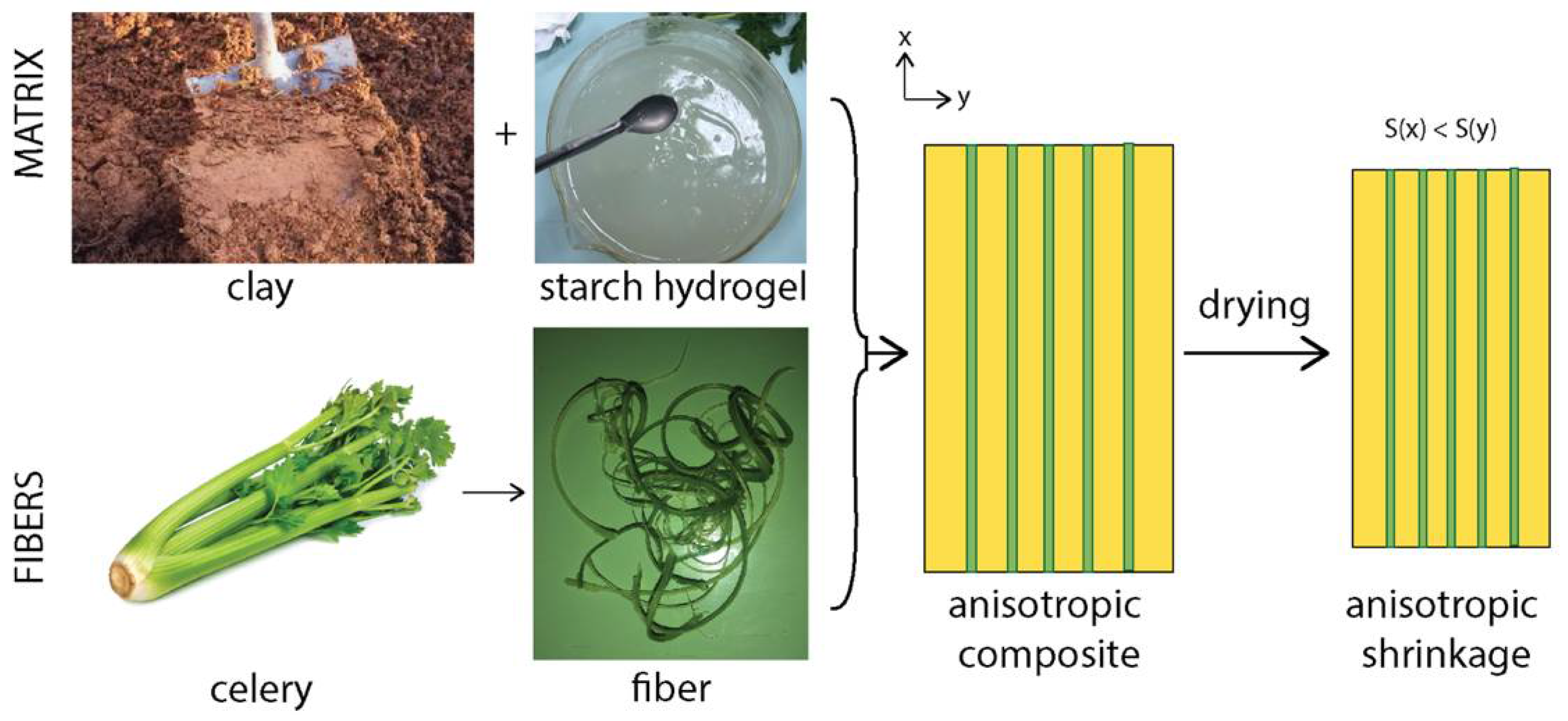 Biomimetics 07 00013 g003 550