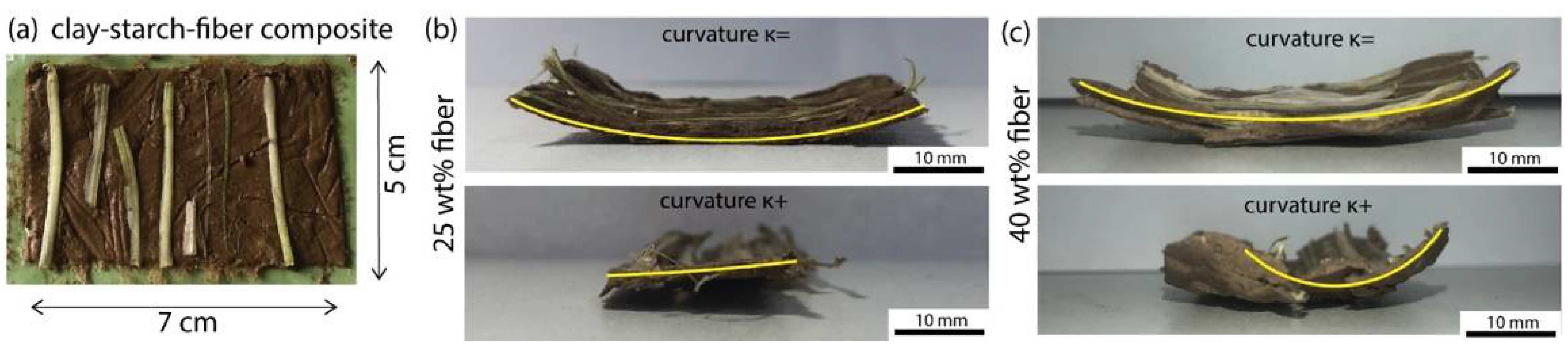 Biomimetics 07 00013 g006 550