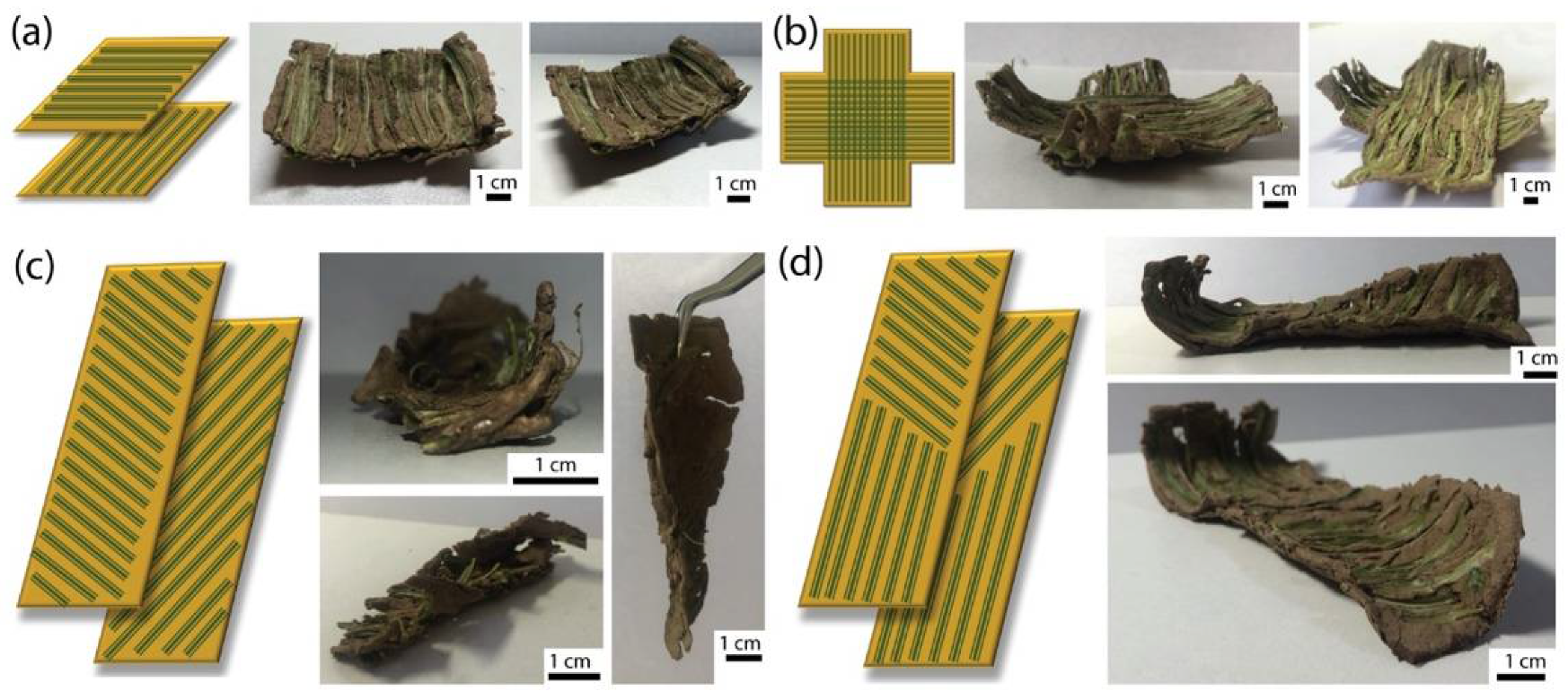 Biomimetics 07 00013 g008 550