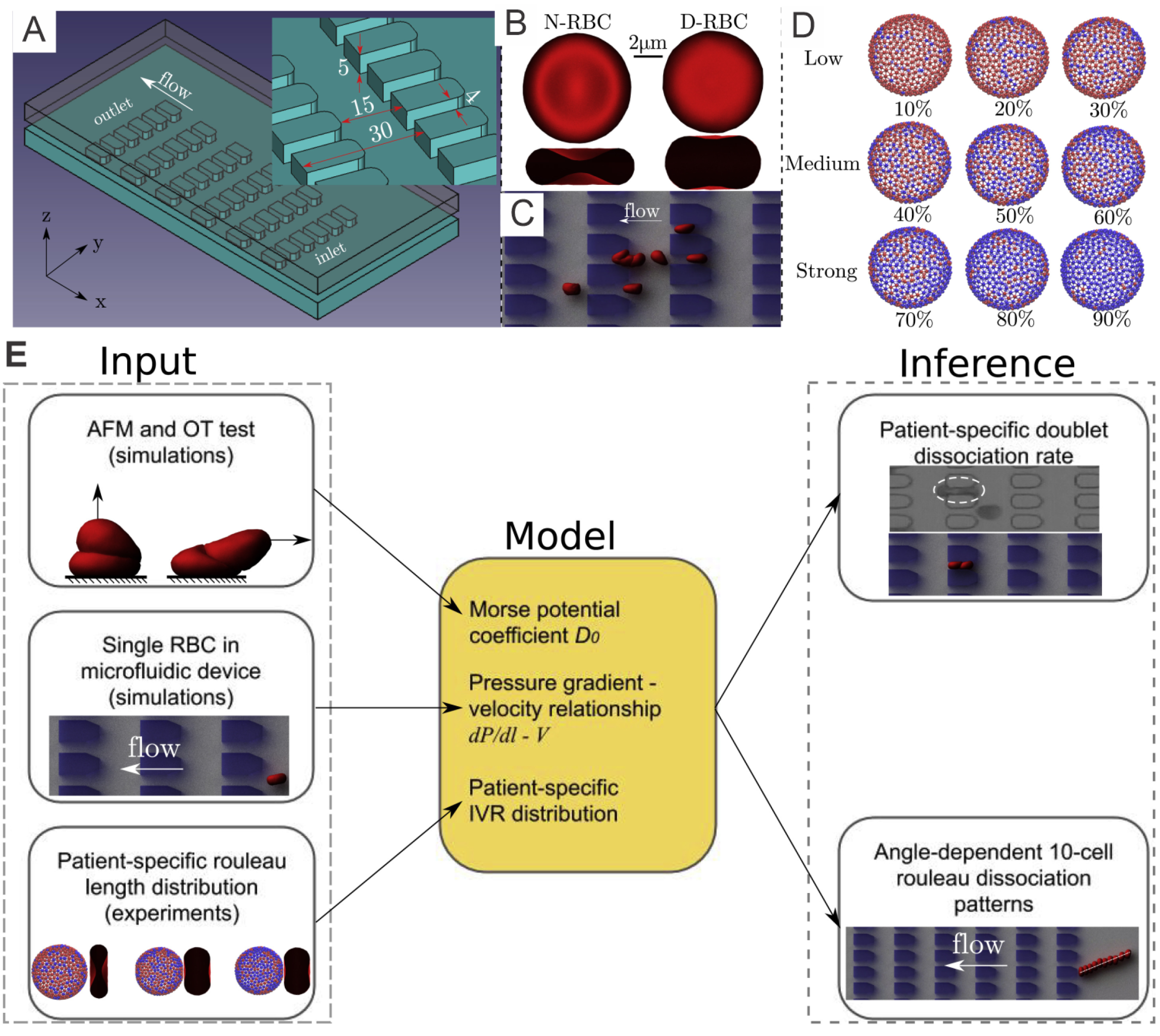 Biomimetics 07 00015 g002 Biomimetics 07 00015 g002