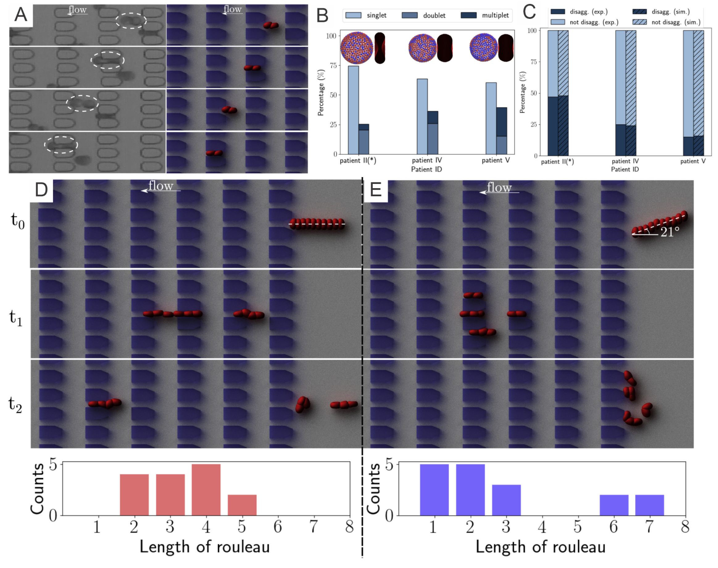 Biomimetics 07 00015 g003 Biomimetics 07 00015 g003