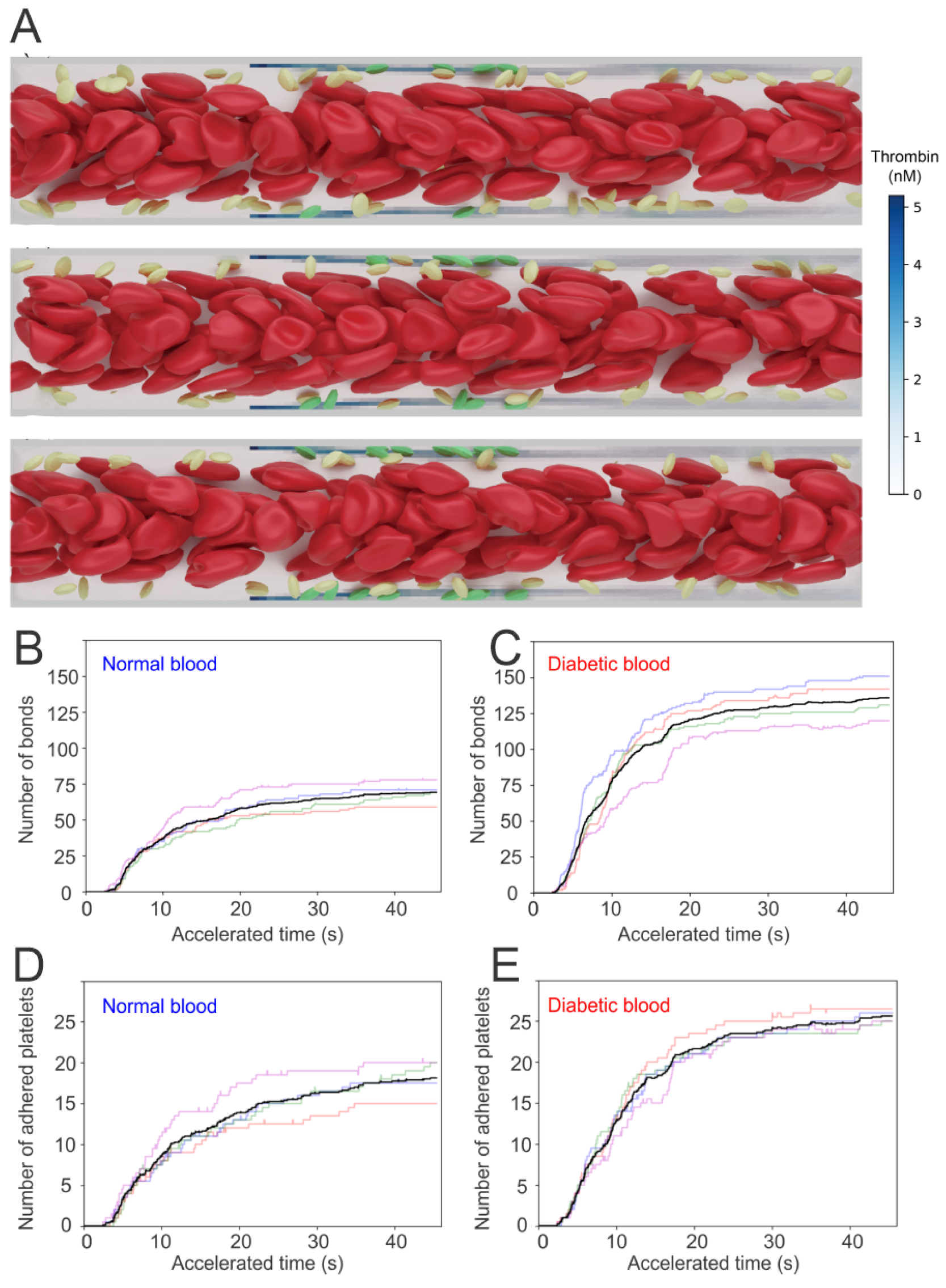 Biomimetics 07 00015 g007 Biomimetics 07 00015 g007