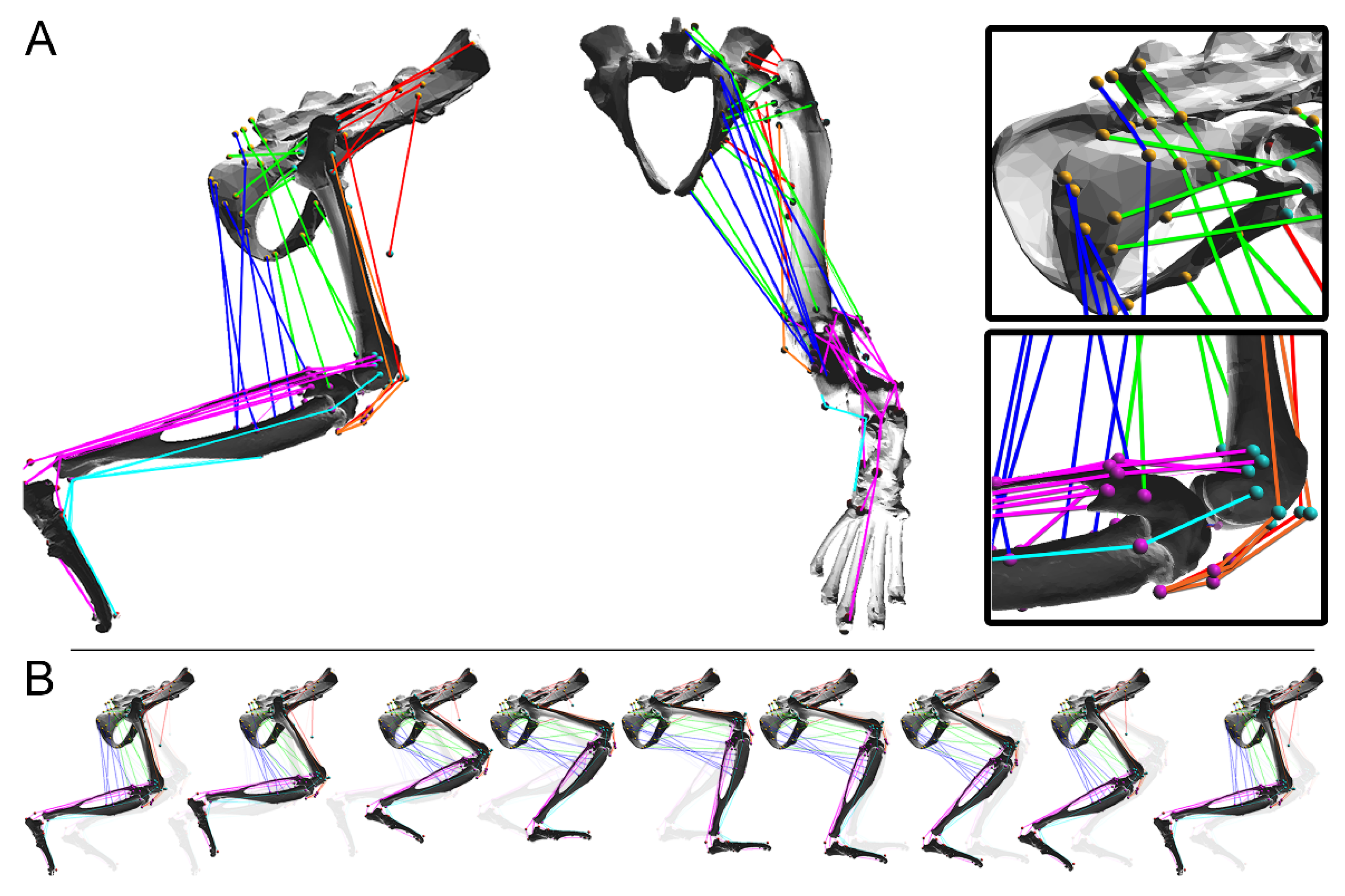 Biomimetics 07 00017 g001 Biomimetics 07 00017 g001